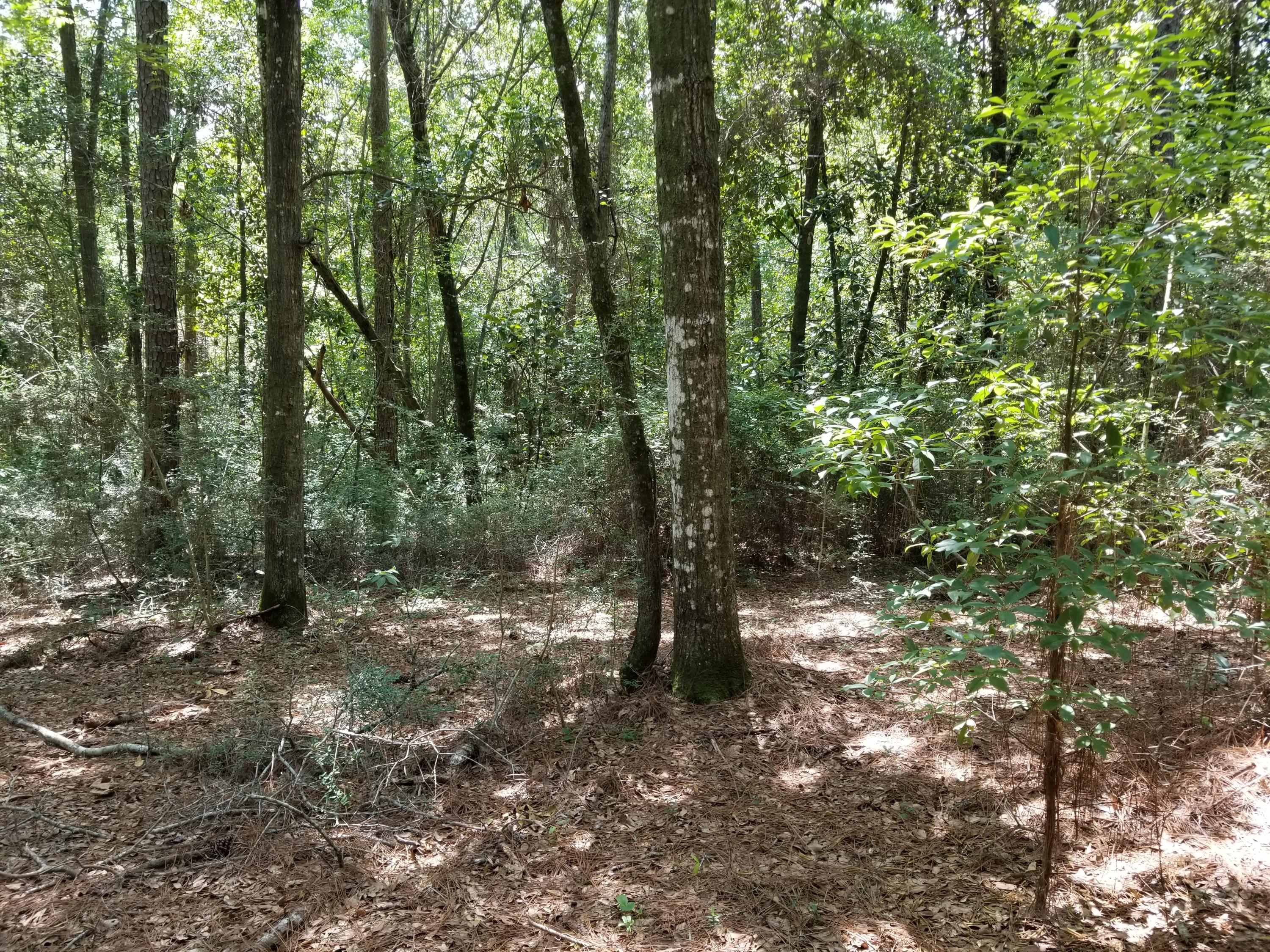 LAURELWOOD ESTATES - Land