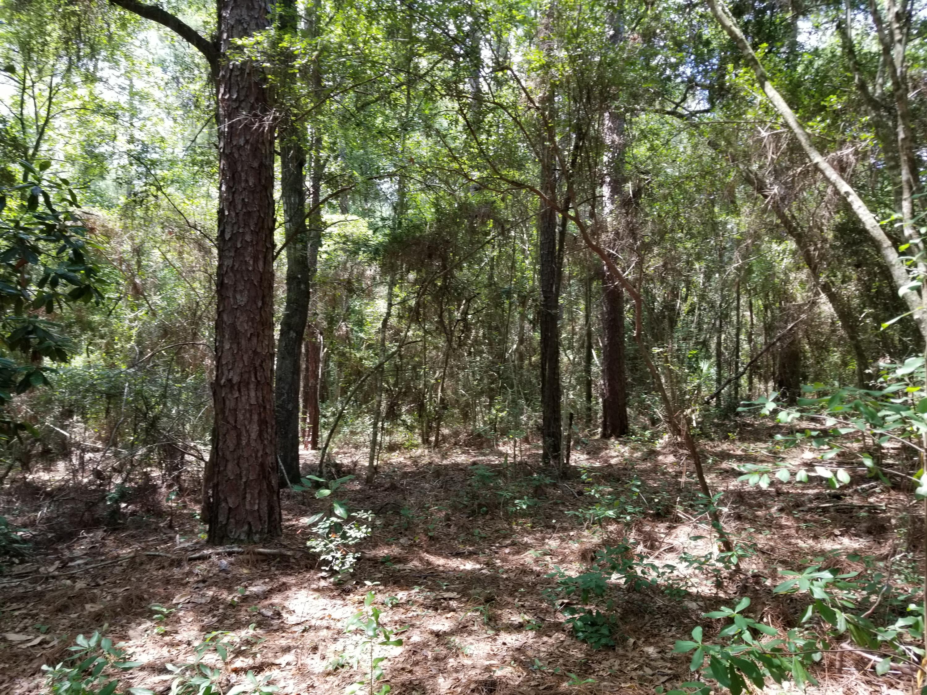 LAURELWOOD ESTATES - Land