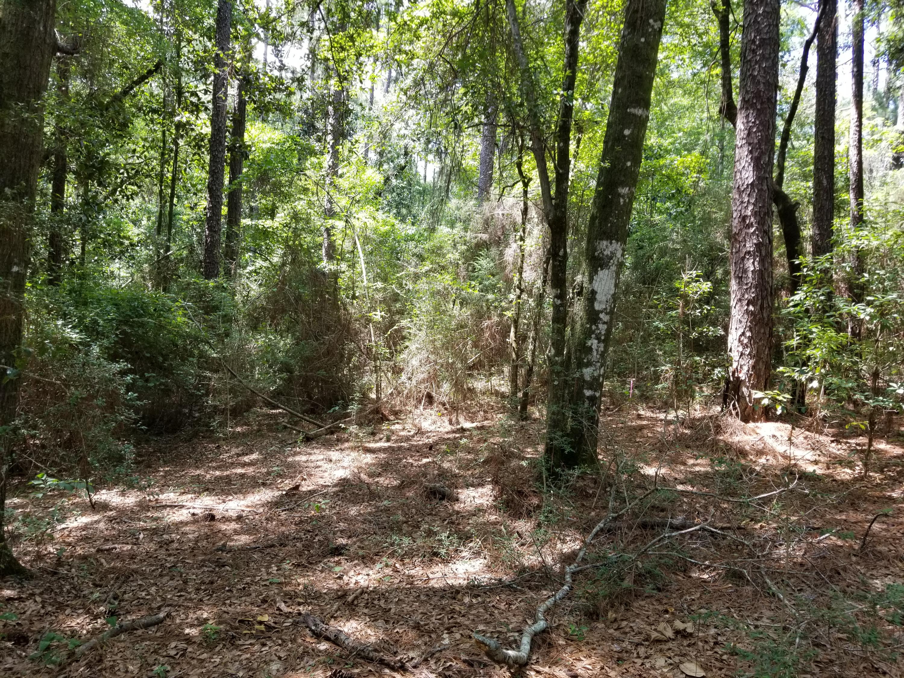 LAURELWOOD ESTATES - Land