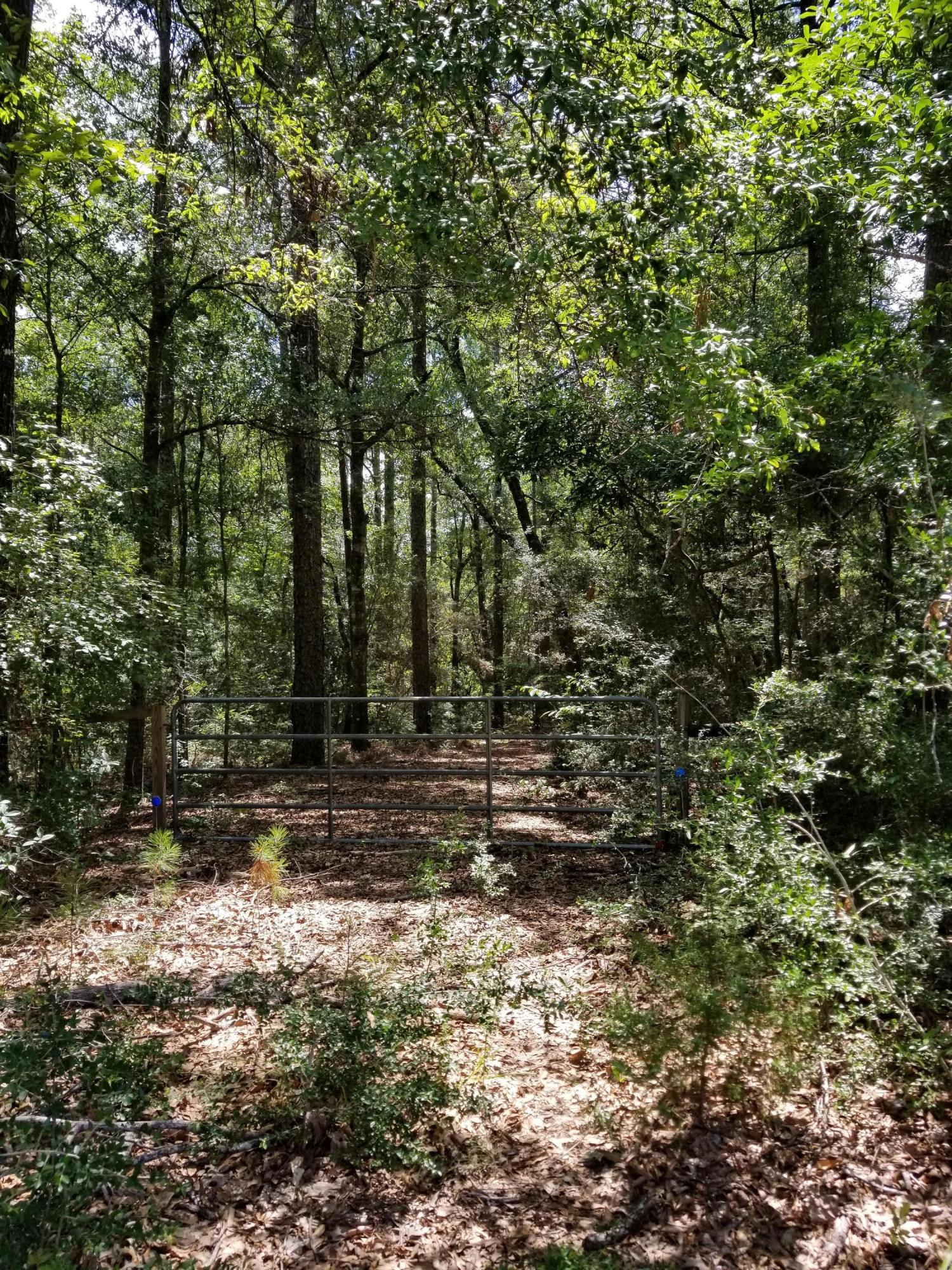 LAURELWOOD ESTATES - Land