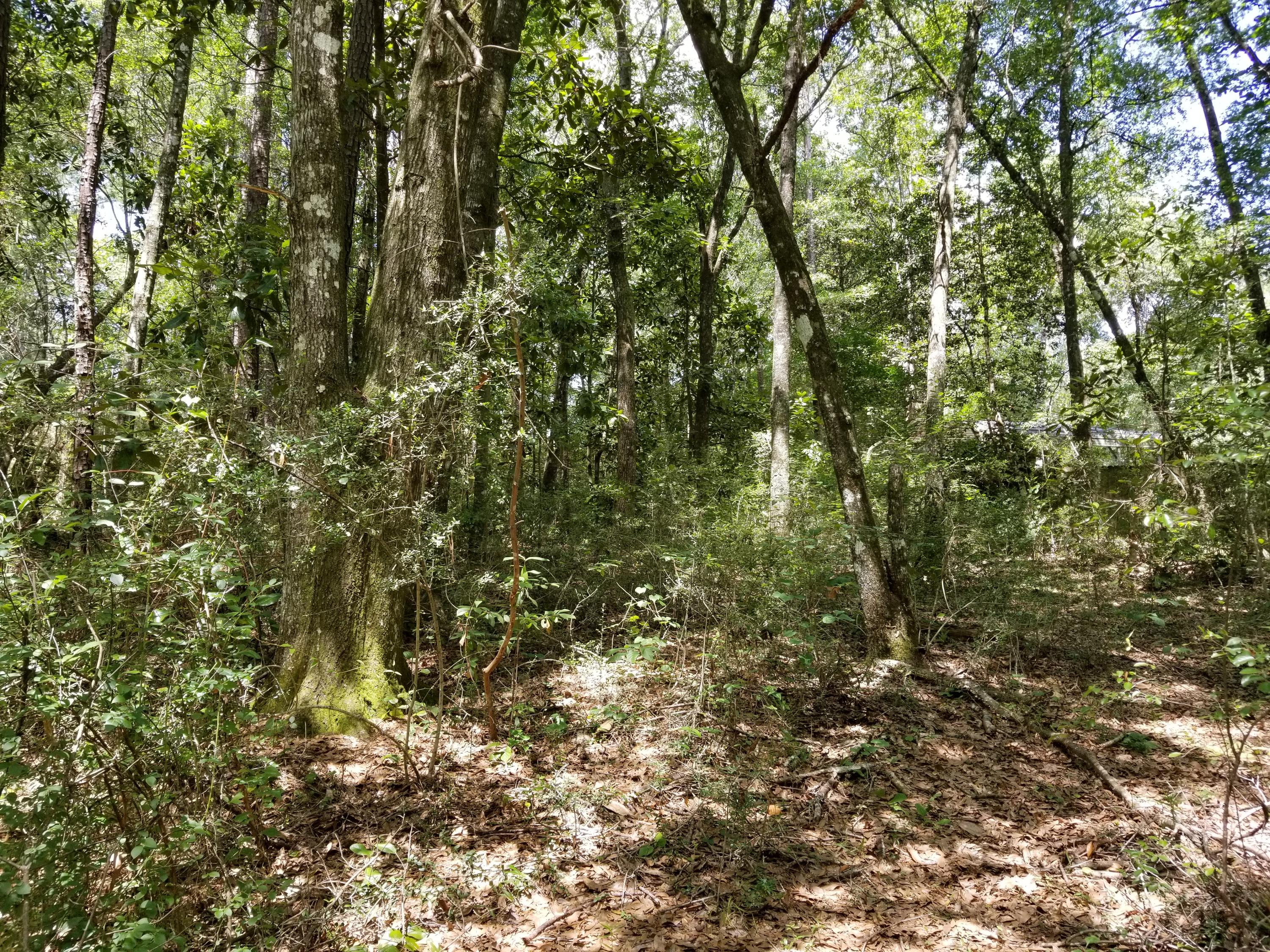 LAURELWOOD ESTATES - Land