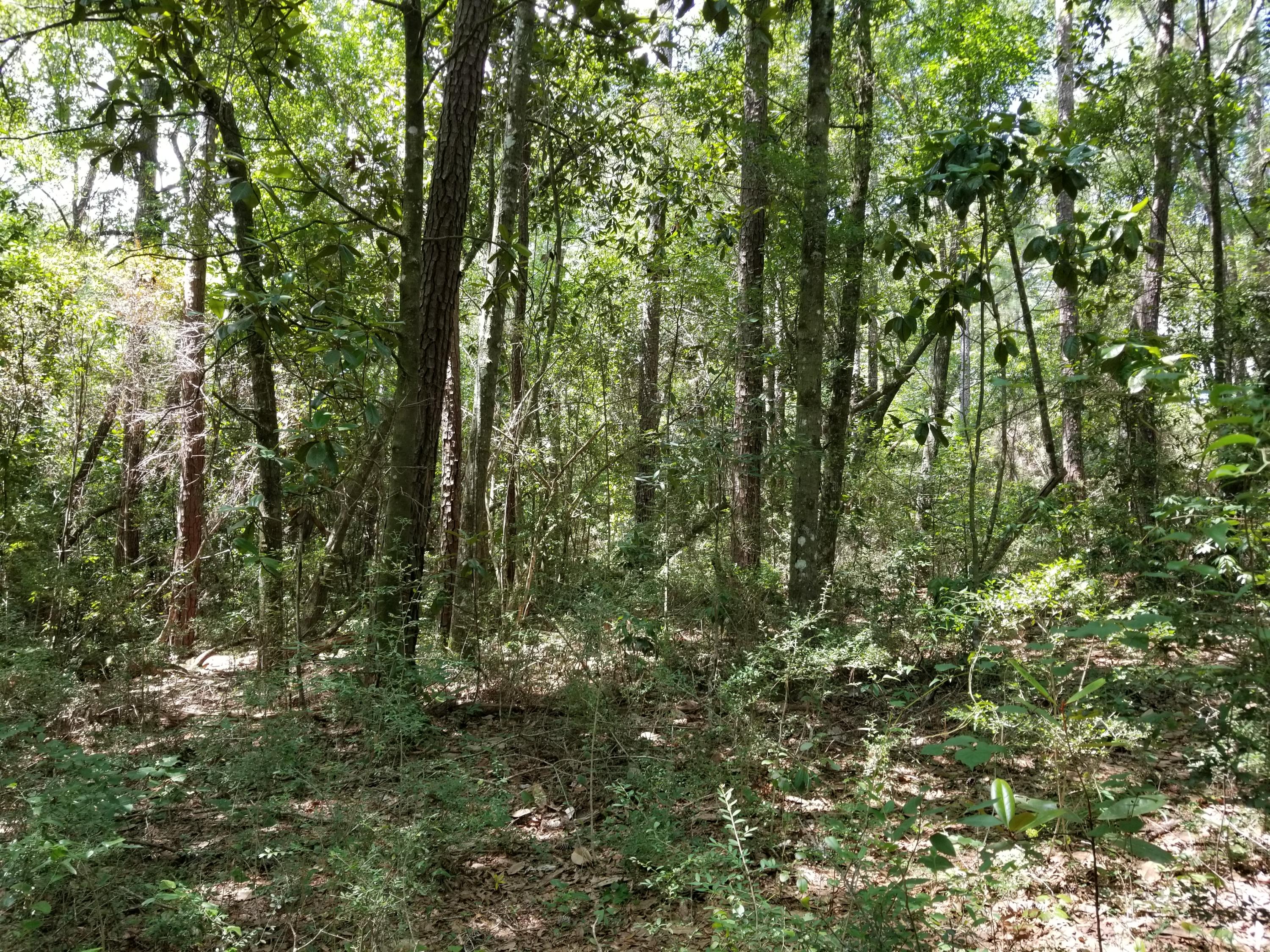 LAURELWOOD ESTATES - Land