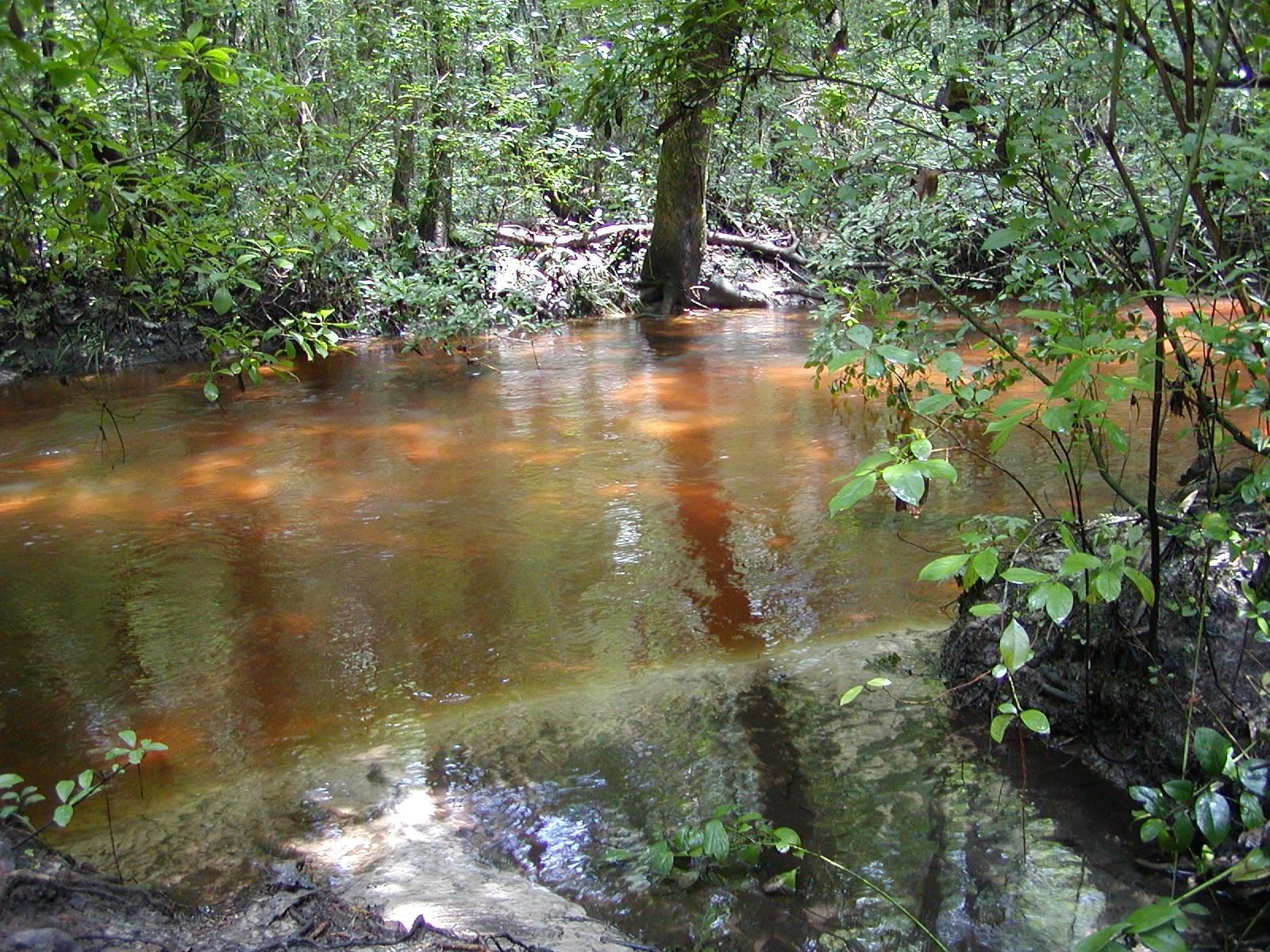 LAURELWOOD ESTATES - Land