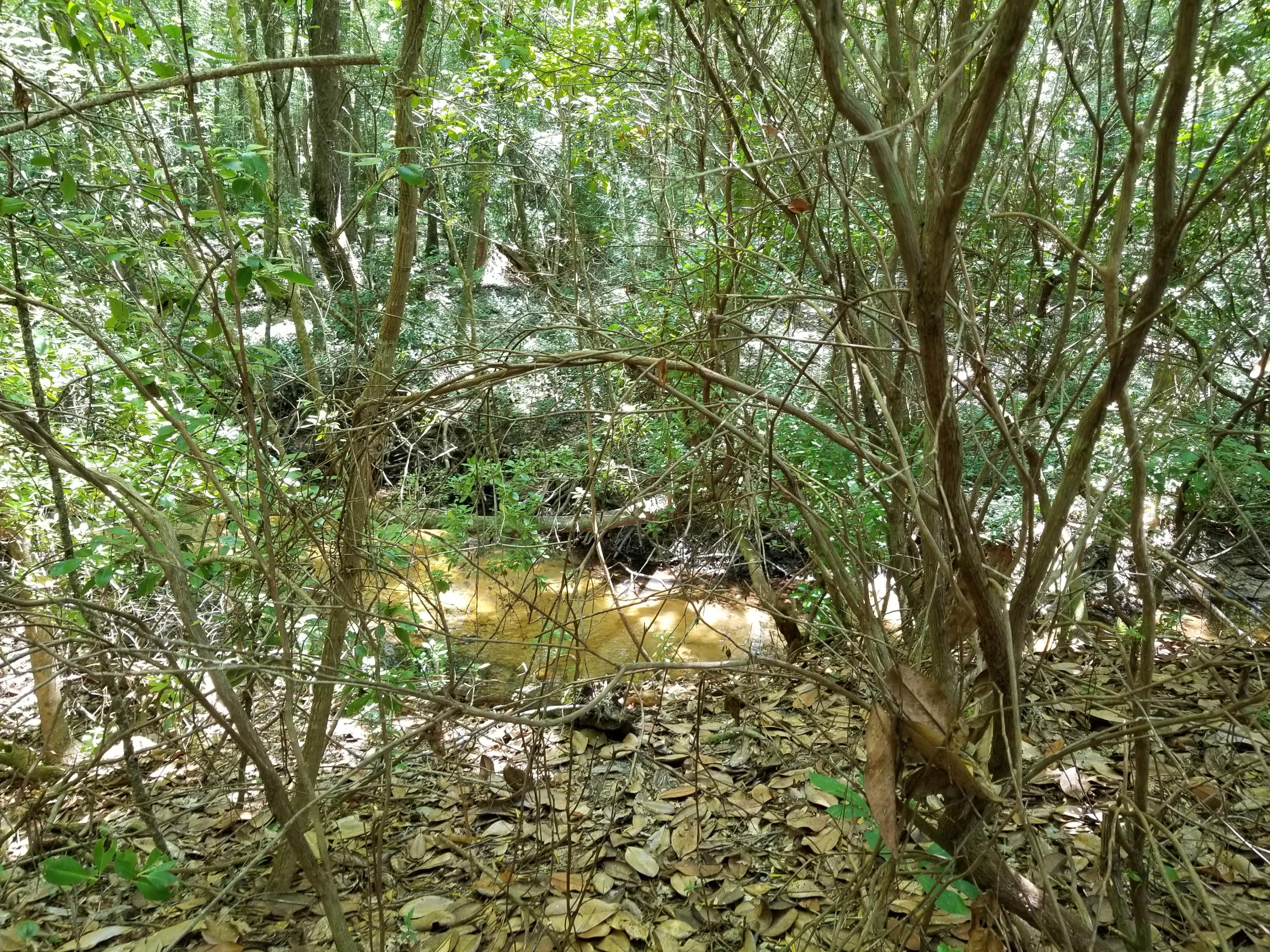 LAURELWOOD ESTATES - Land