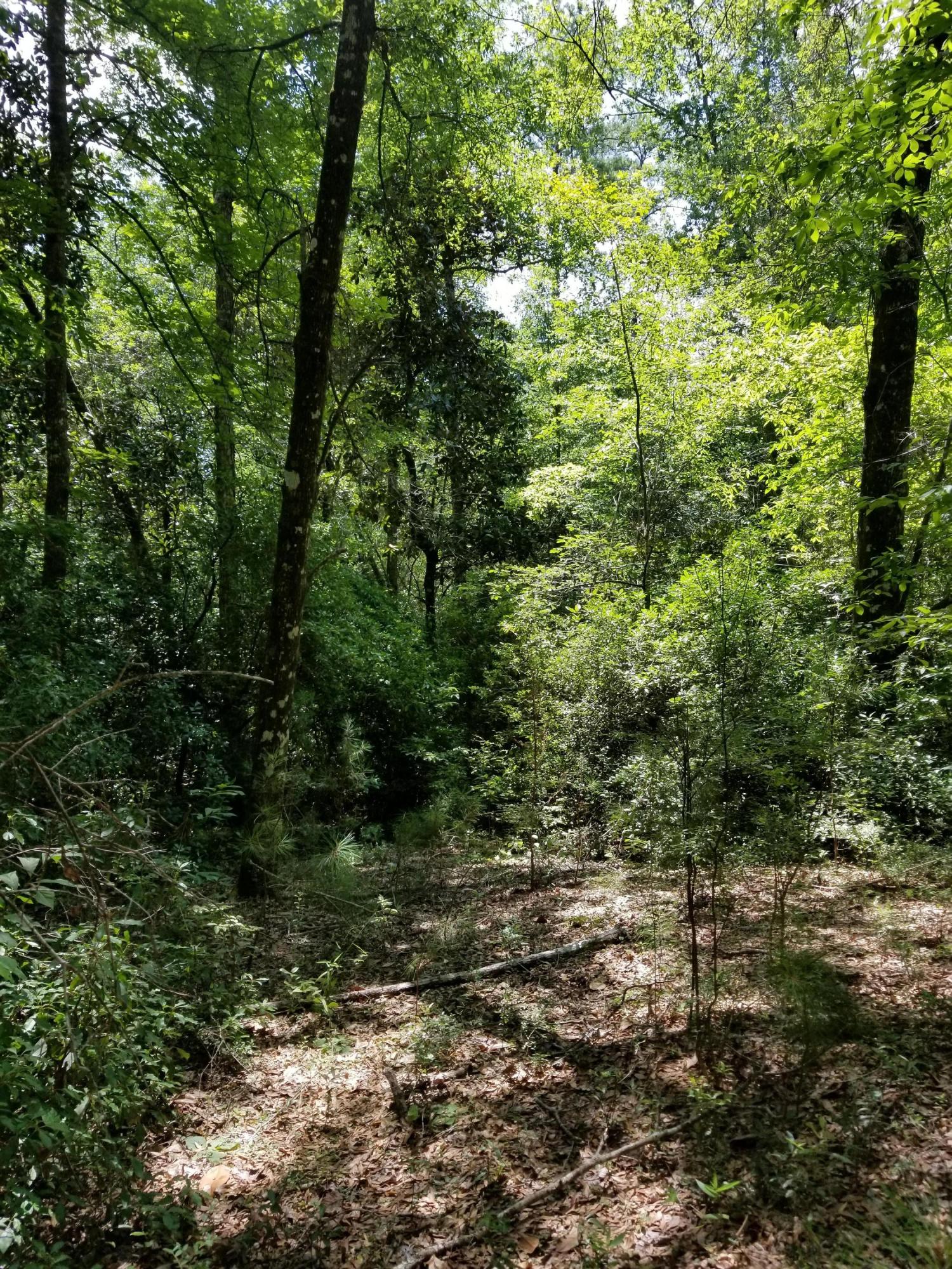 LAURELWOOD ESTATES - Land