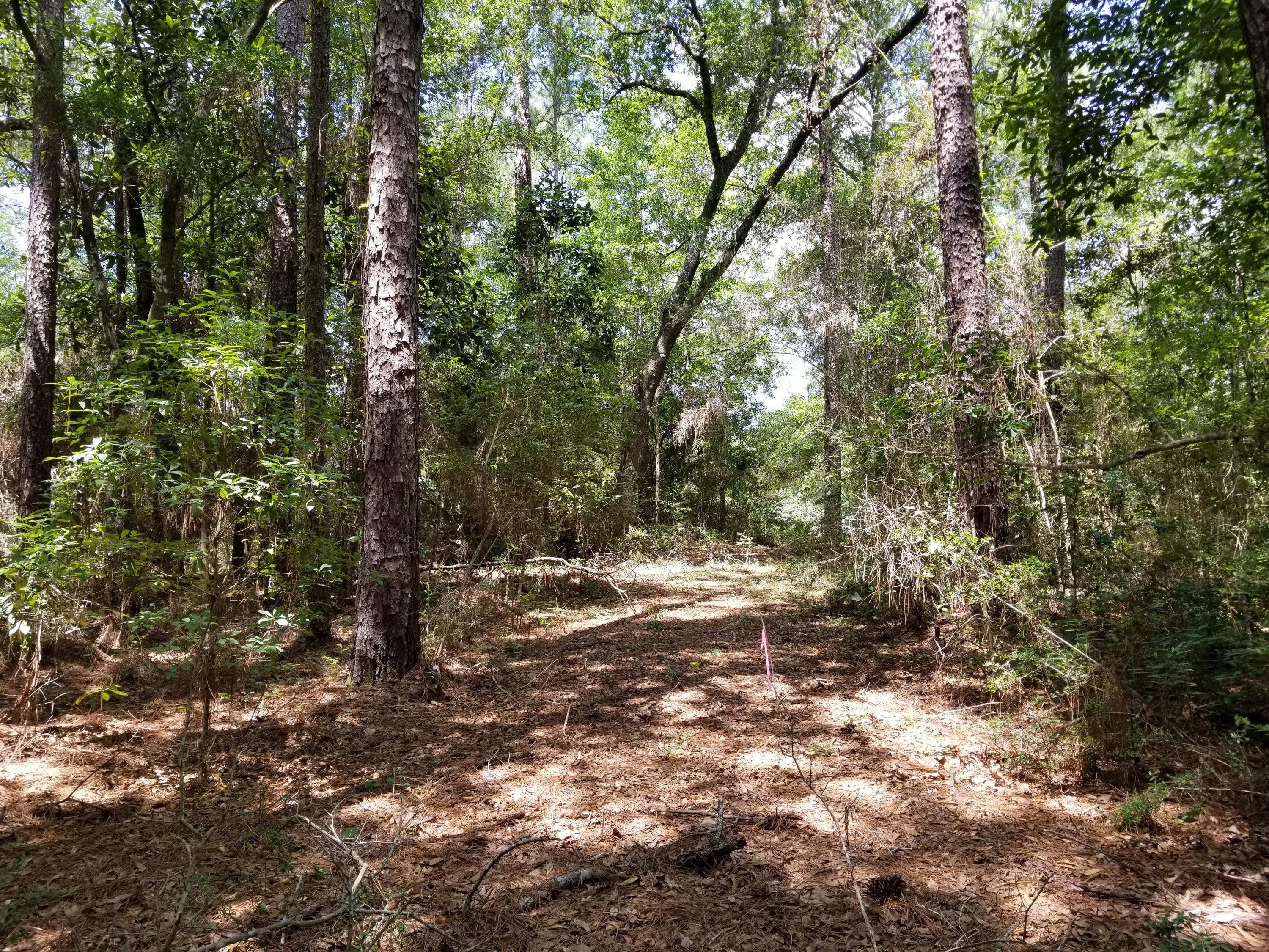 Looking for a tranquil Homestead to build your DREAM HOME on in a well established neighborhood? This is the one!!!...Nestled among the oaks, pines and hardwoods, featuring Bends Creek, which runs through the back of the parcel. This 5.49 acres of vacant land is zoned single family. You will not be disappointed on beauty, serenity, and harmony. Welcome to Laurelwood Estates, just minutes from shopping, schools, airport, Zoo, and military bases. Your wait is over... land... water... and tranquility...Call for more details.