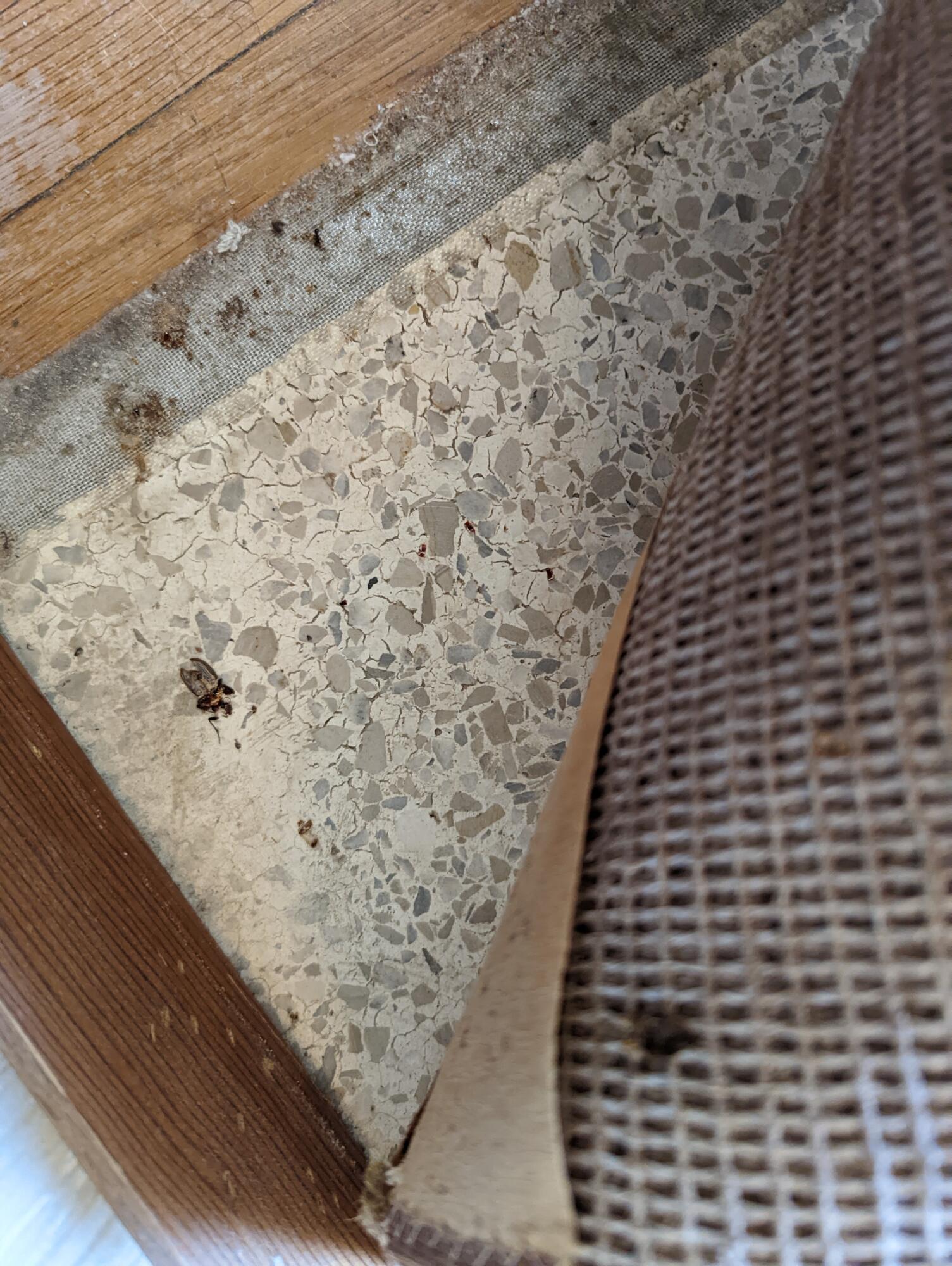 VALPARAISO PLAT #15 - Residential