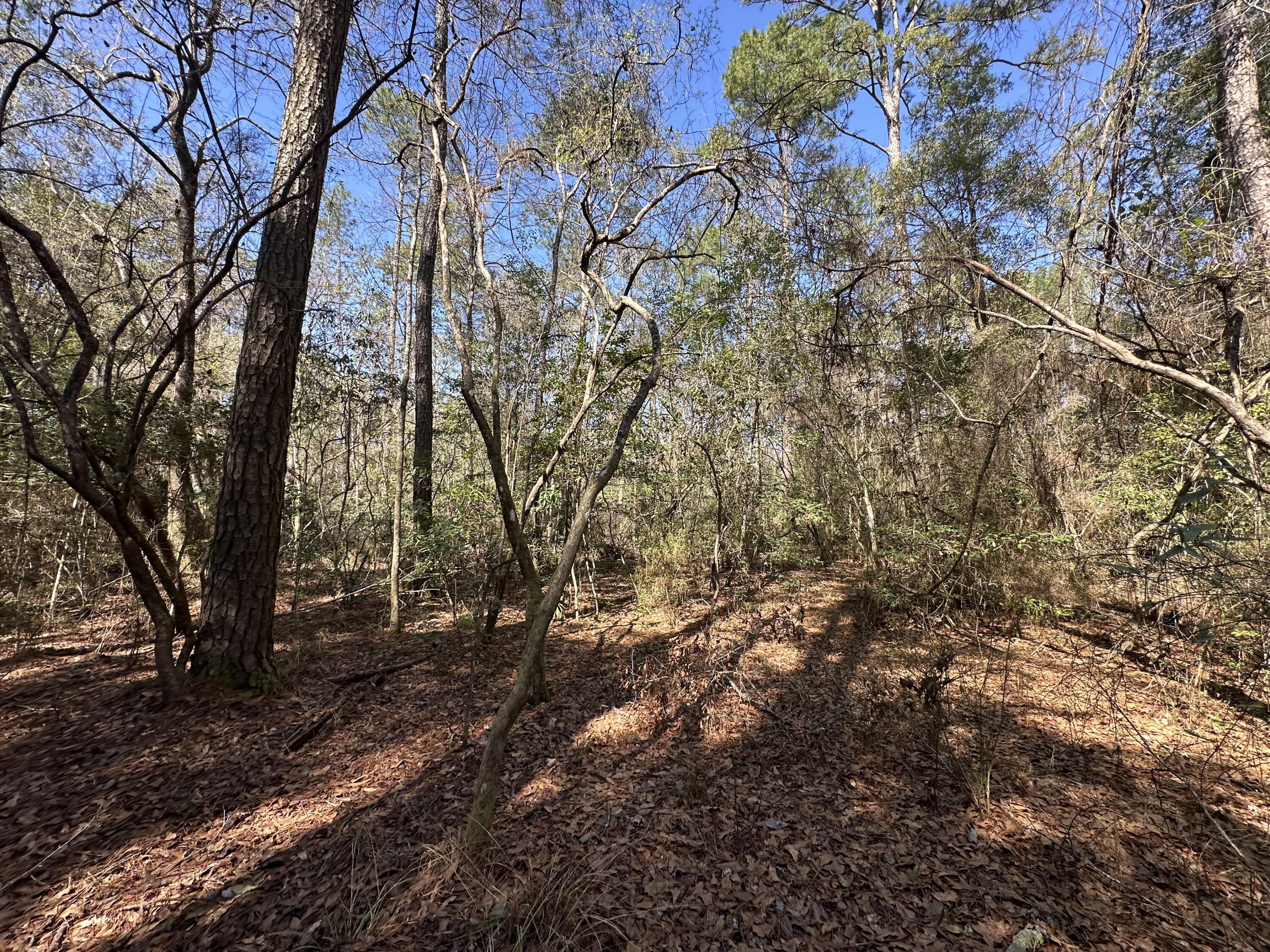 COON BOTTOM ESTATES - Land