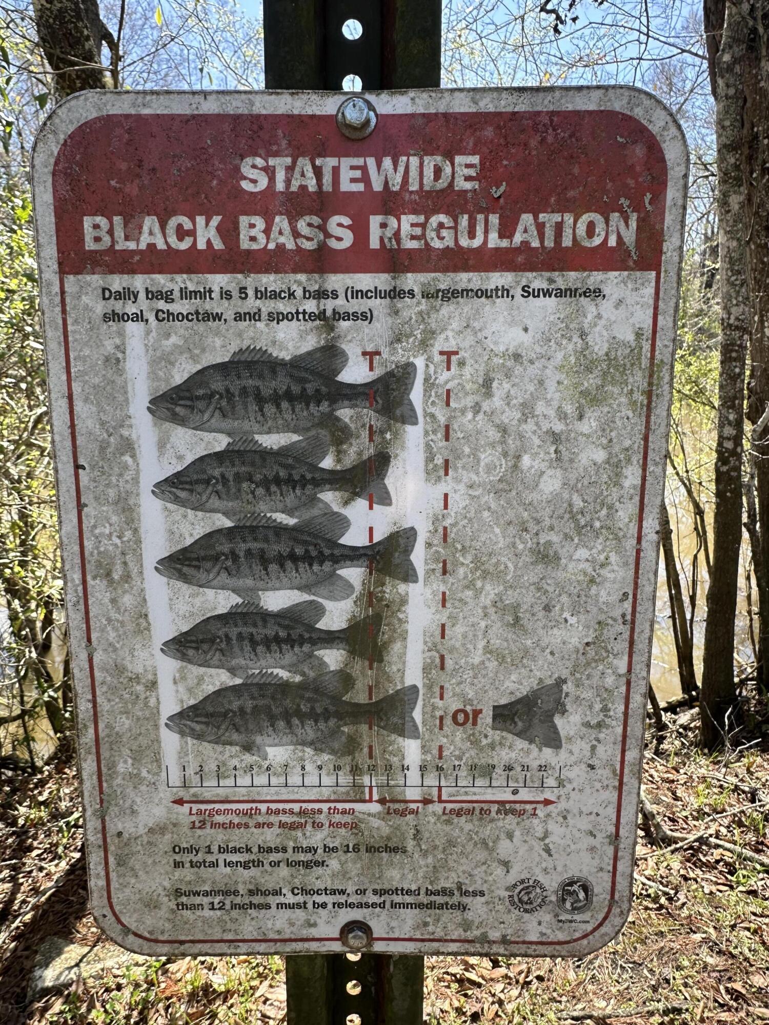 COON BOTTOM ESTATES - Land