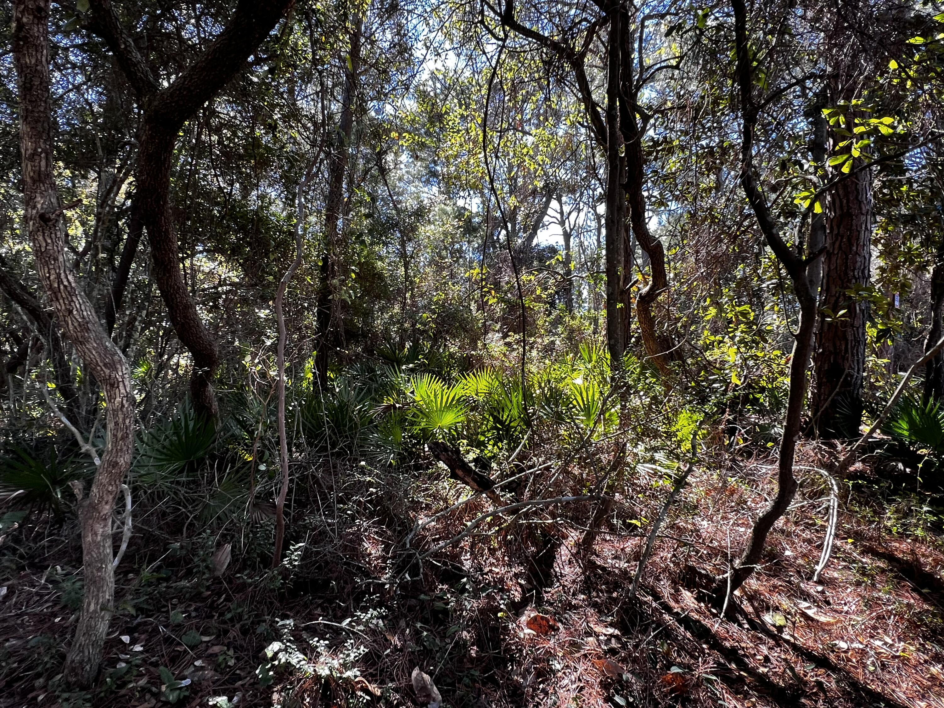 CALHOUN S/D DESTIN - Land