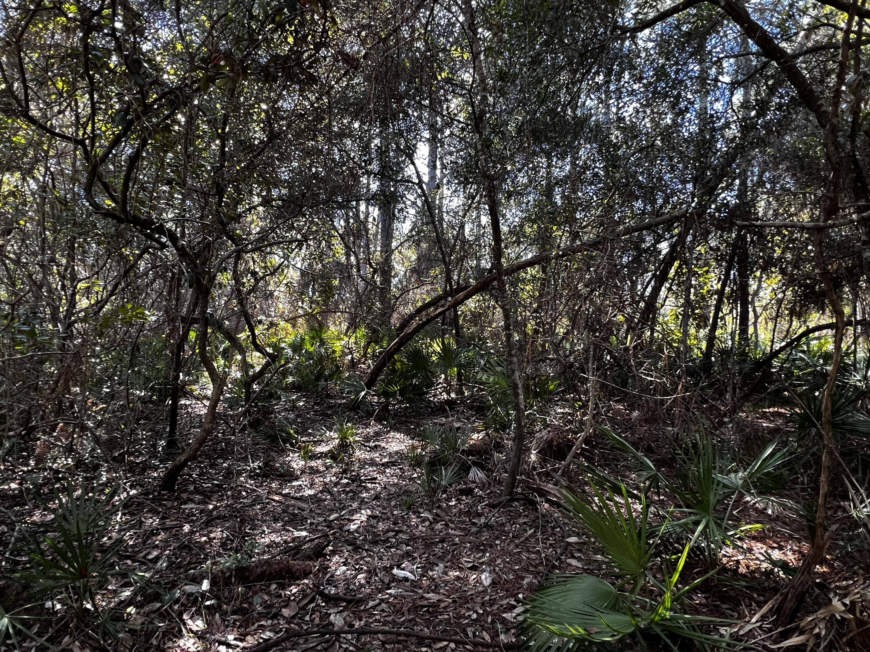 CALHOUN S/D DESTIN - Land