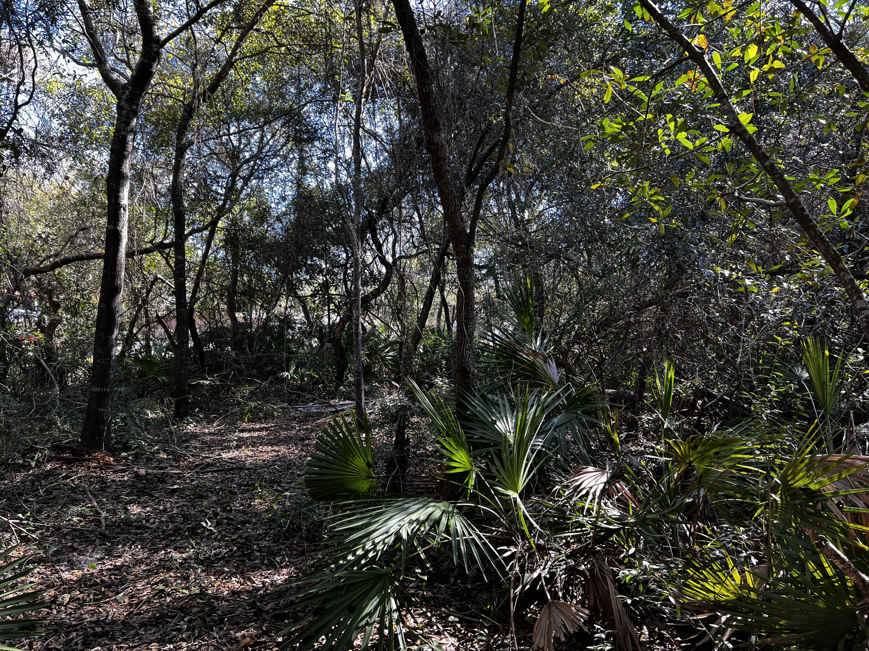 CALHOUN S/D DESTIN - Land