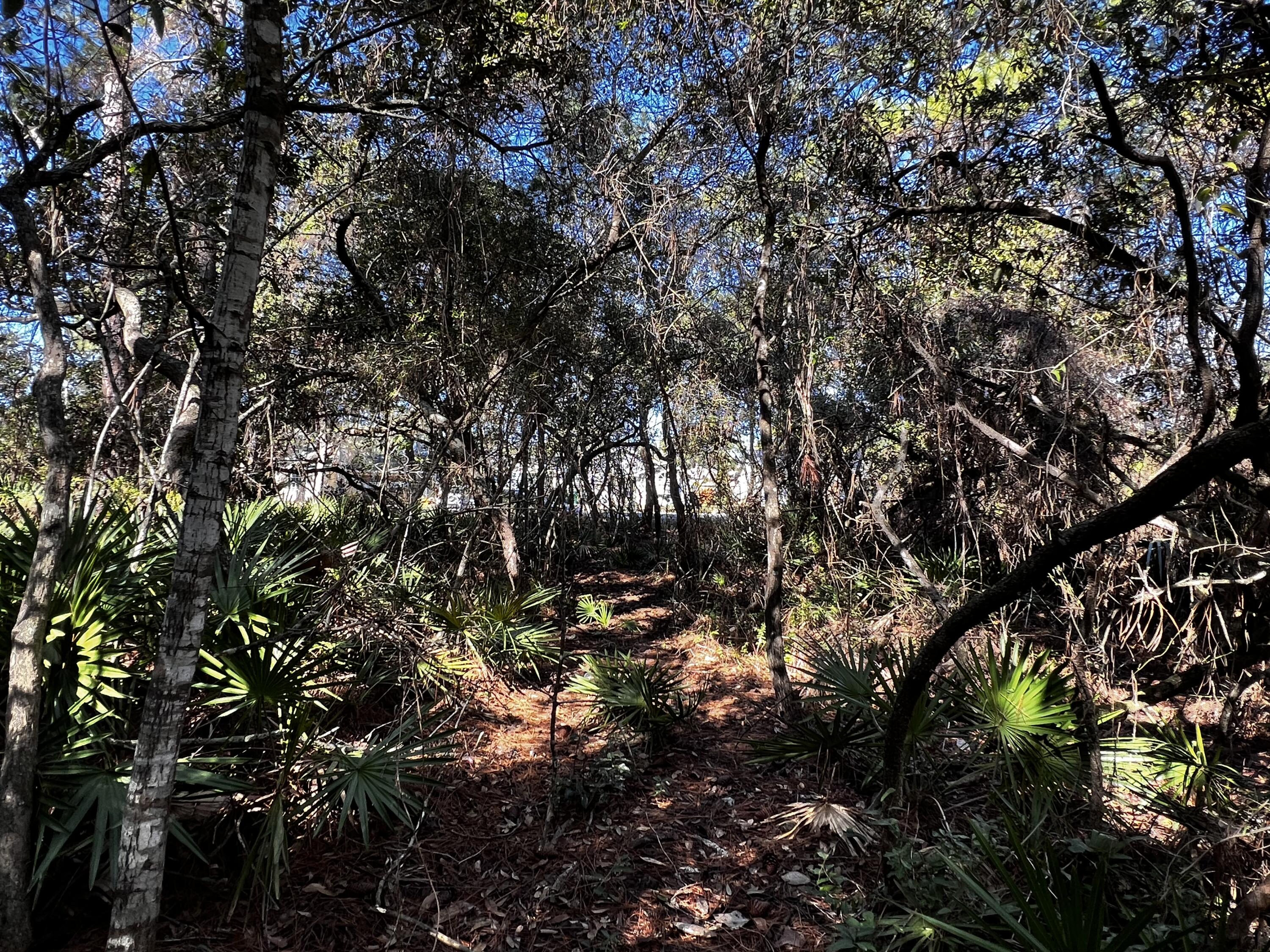 CALHOUN S/D DESTIN - Land