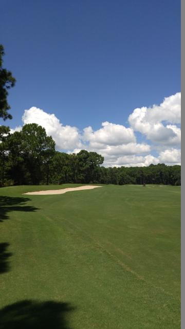 CUL DE SAC LOT ON BURNT PINE GOLF COURSE!!!Burnt Pine is a gated community within the gates of Sandestin Golf and Beach Resort. The Preserve at Sandestin is the premiere neighborhood within the resort. Enjoy all that Sandestin has to offer with its four golf courses, tennis courts, marina and clubs such as the Beach Club.
