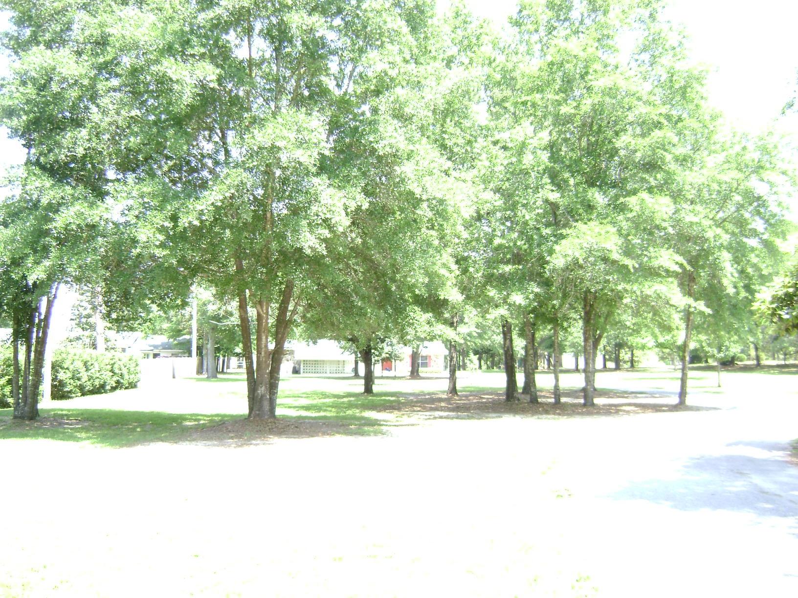 Kam-Ackers S/D - Residential