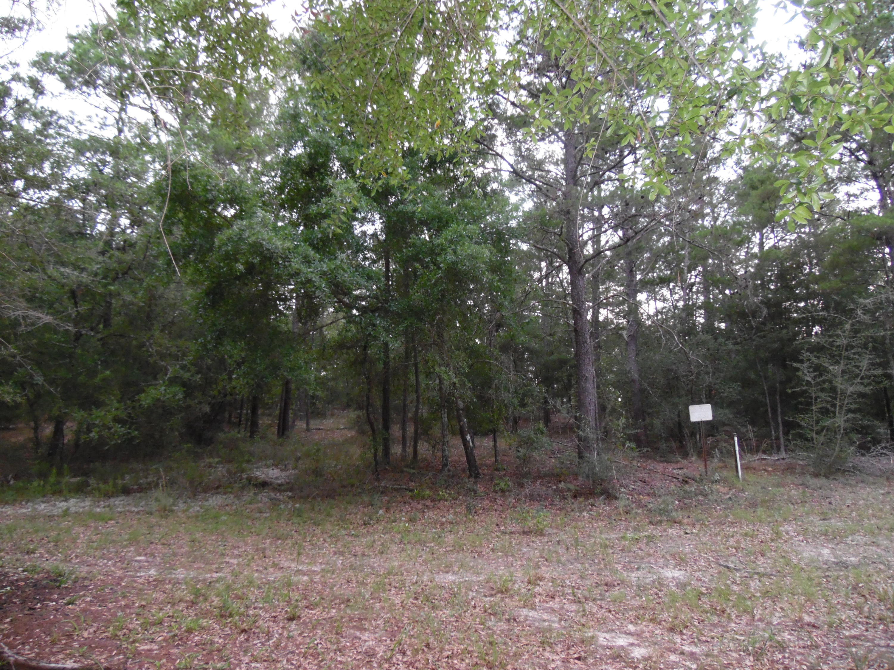 METES & BOUNDS - Land