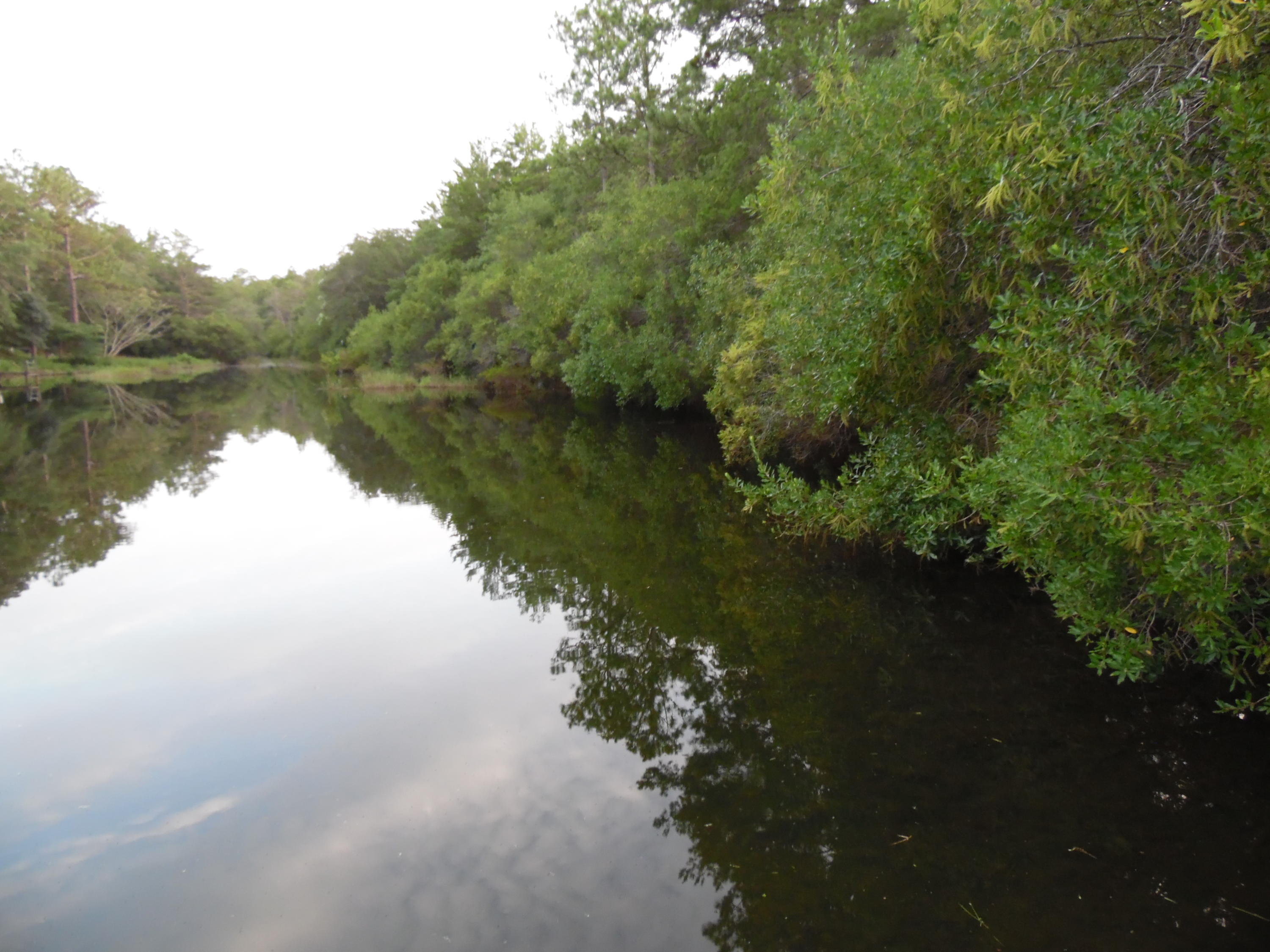 METES & BOUNDS - Land