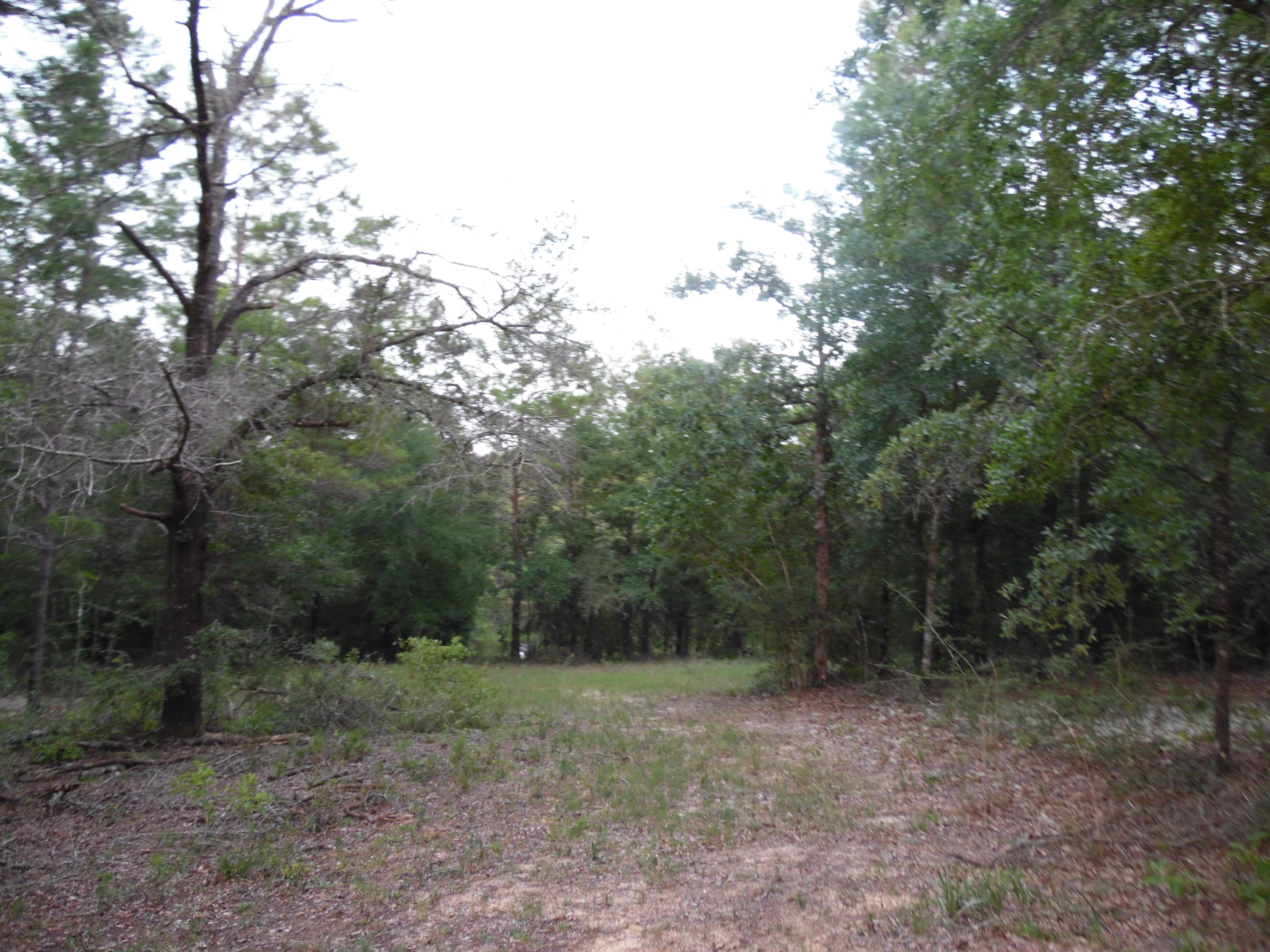 METES & BOUNDS - Land