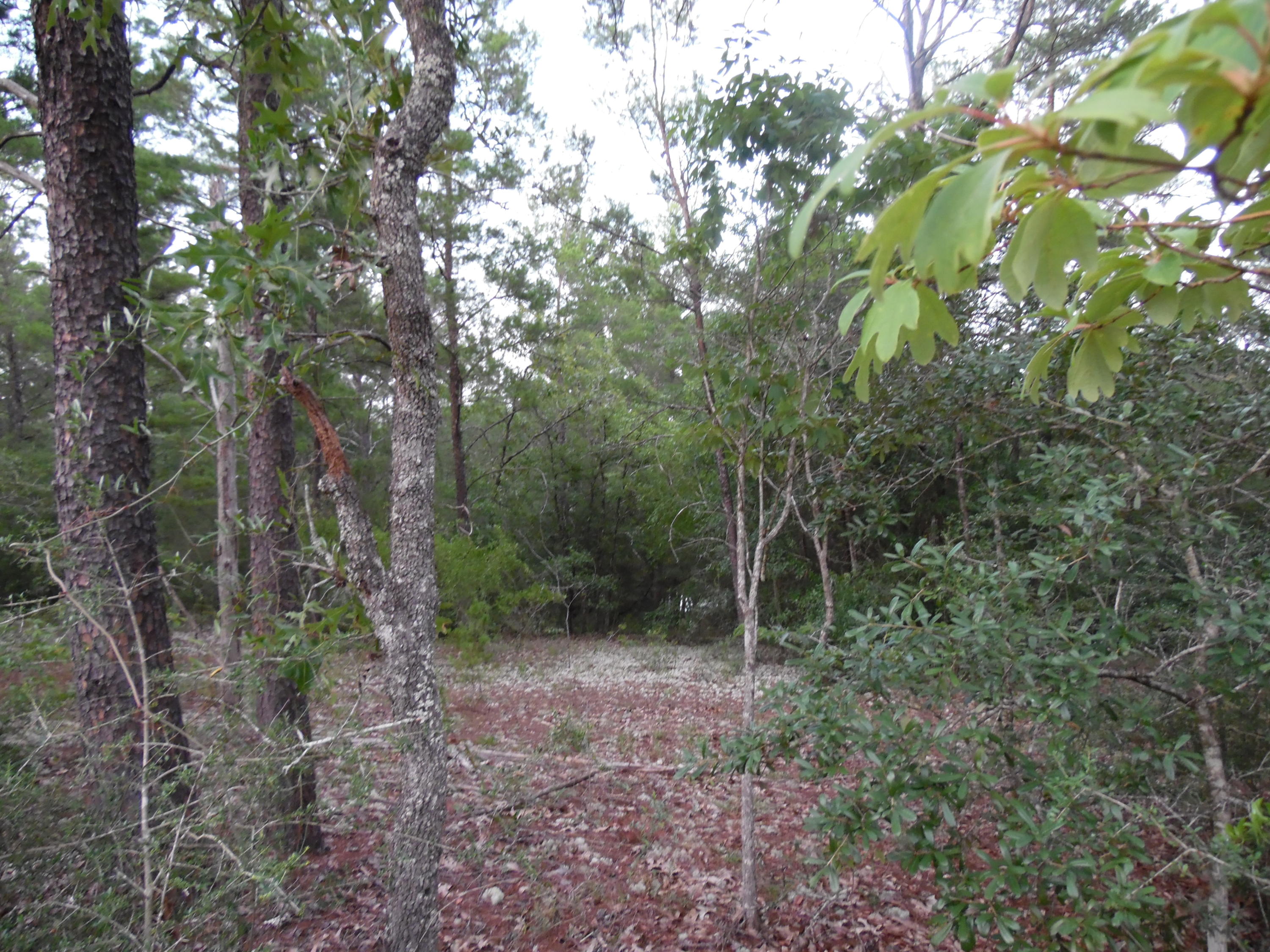 METES & BOUNDS - Land