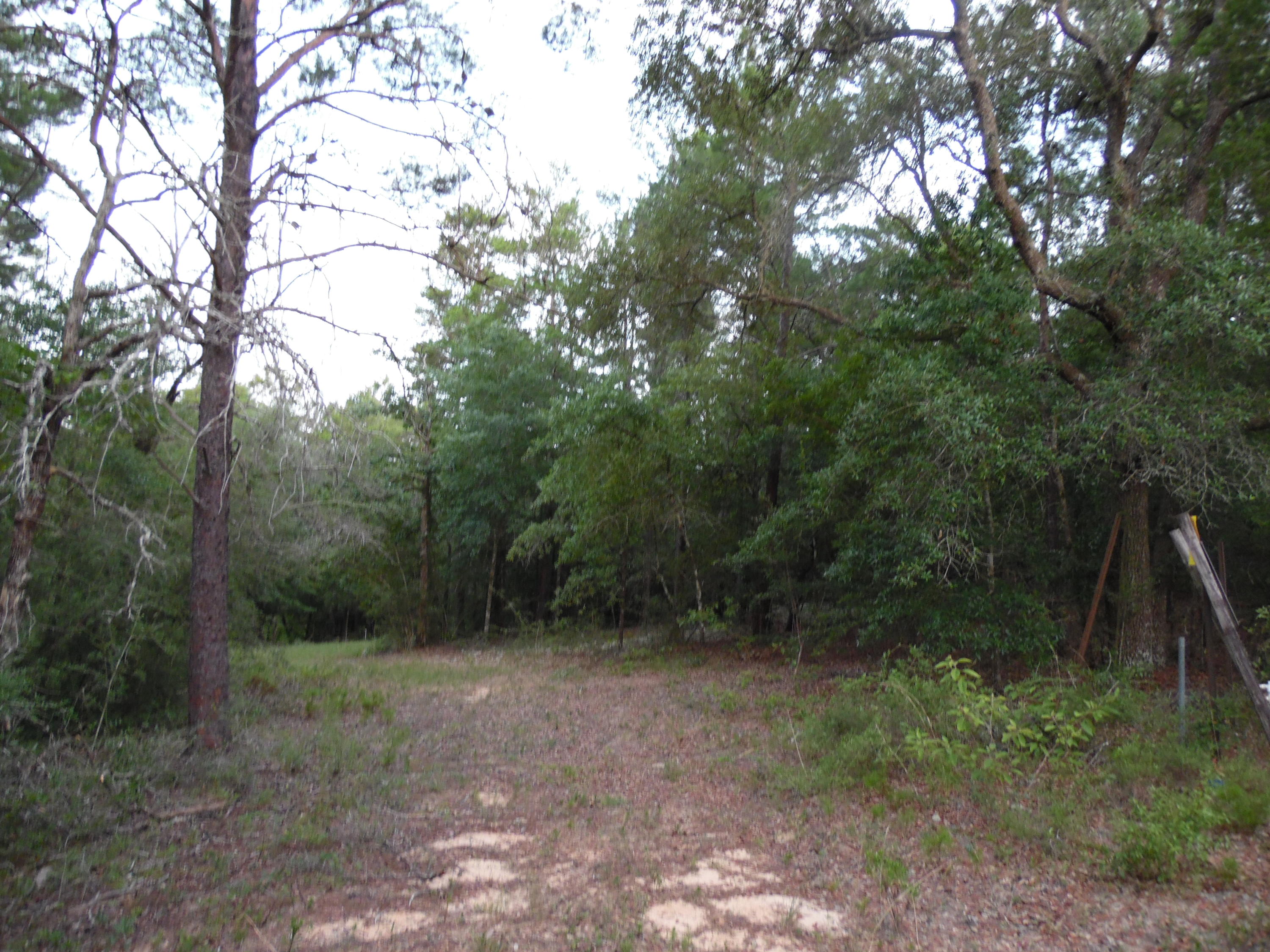 METES & BOUNDS - Land