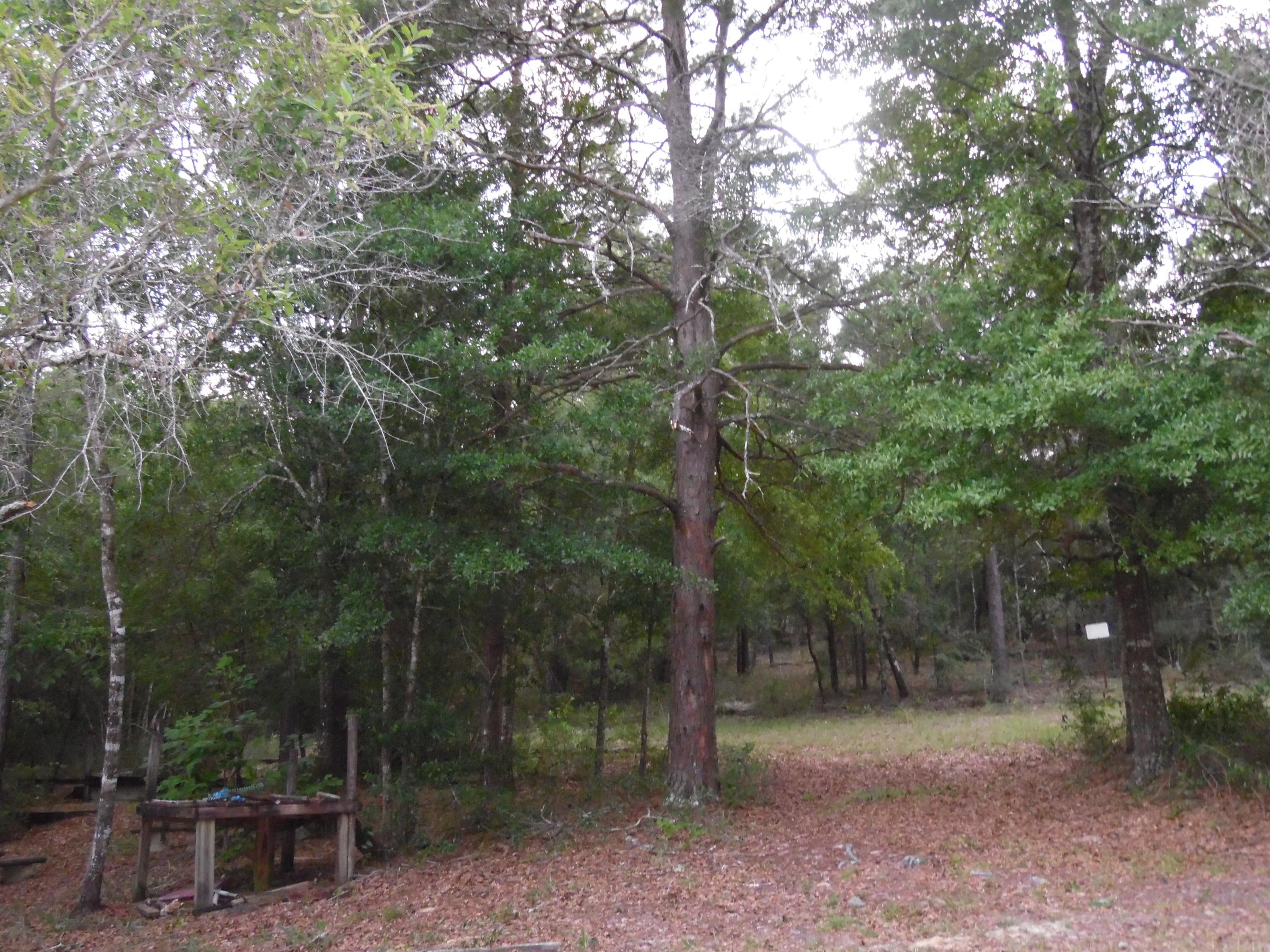 METES & BOUNDS - Land