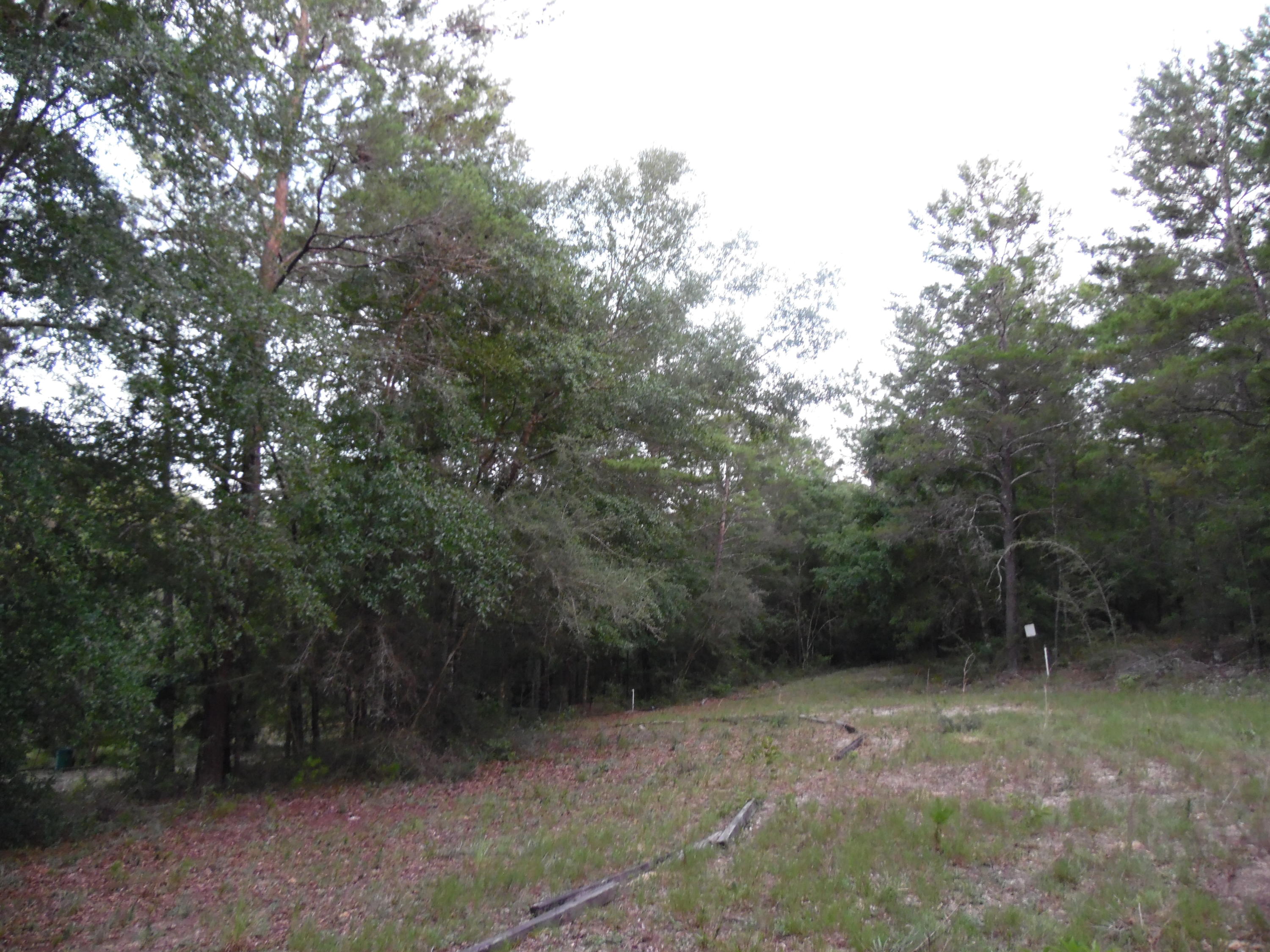 METES & BOUNDS - Land