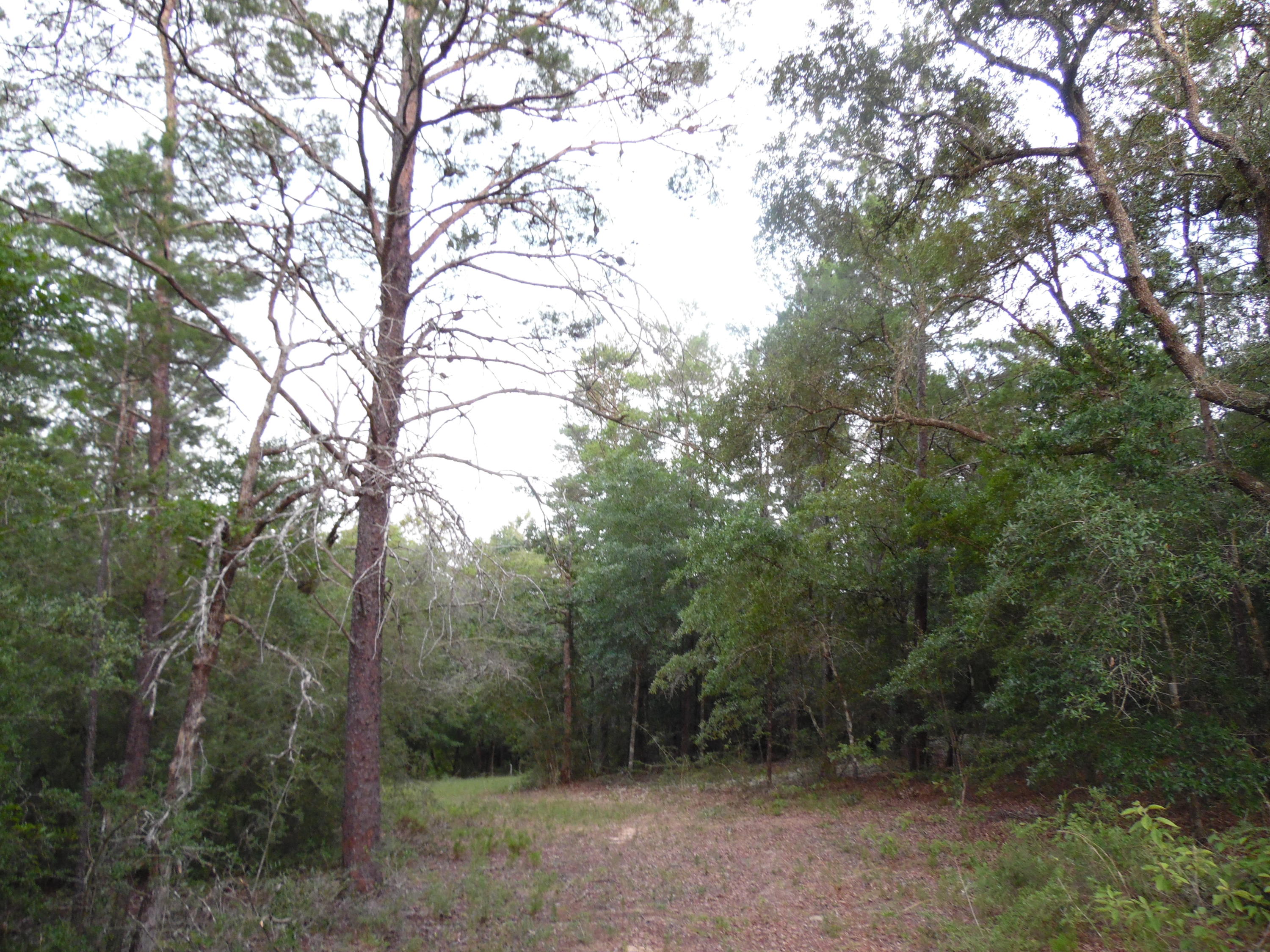 METES & BOUNDS - Land