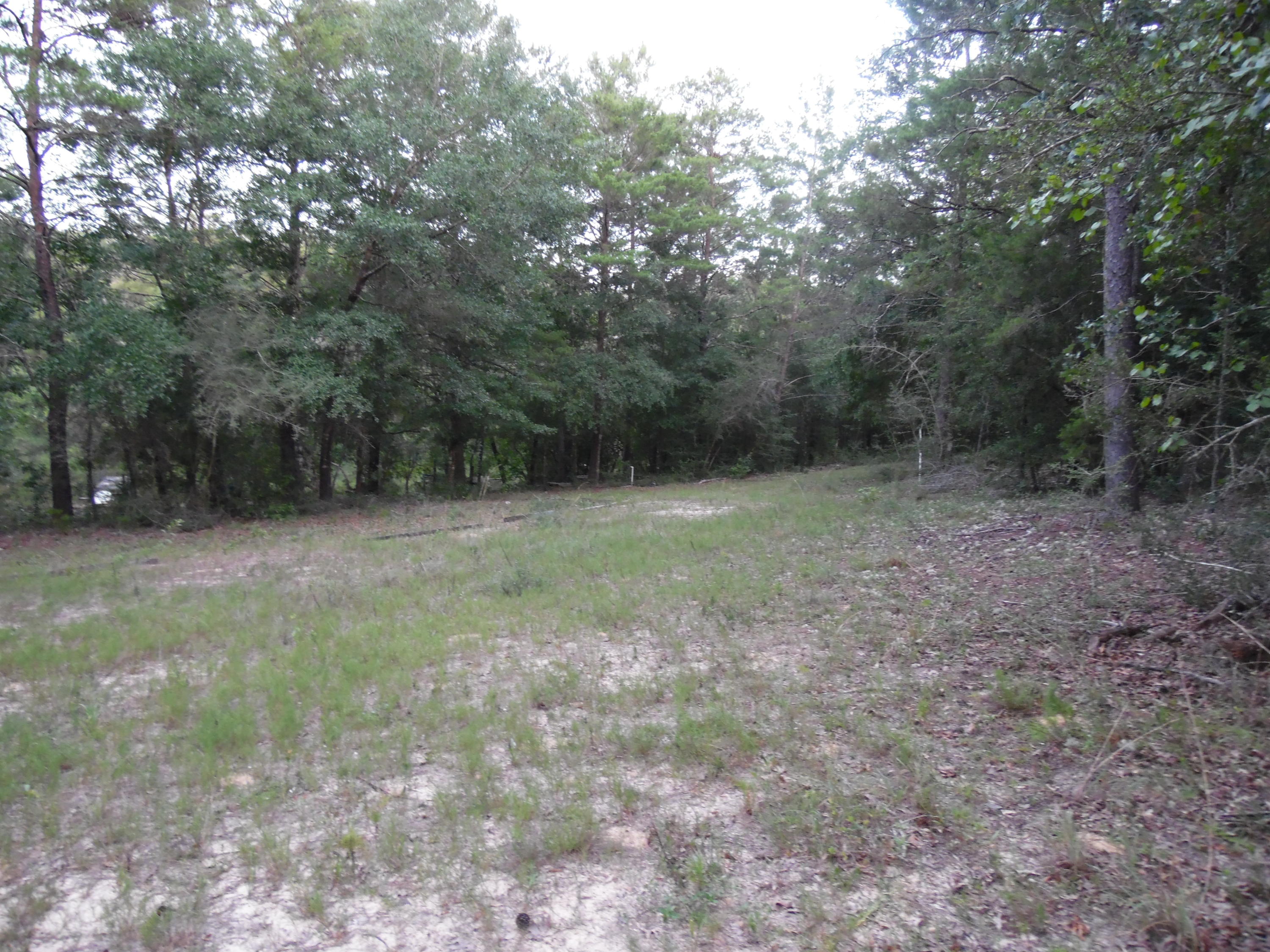 METES & BOUNDS - Land