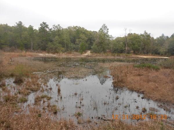 PALM LAKE ADDN UNREC - Residential