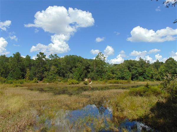 PALM LAKE ADDN UNREC - Residential