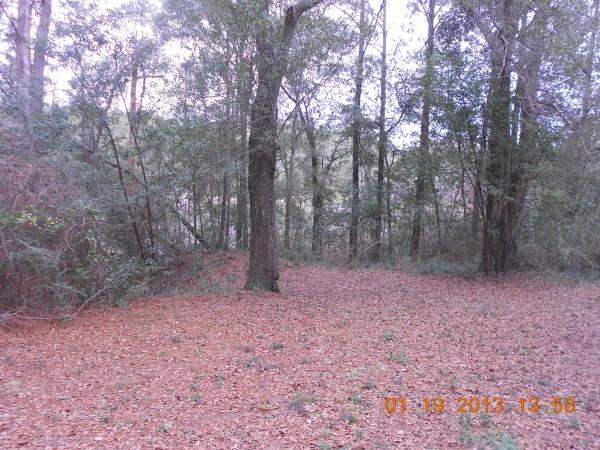 PALM LAKE ADDN UNREC - Residential