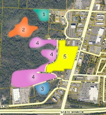 4.23+/- acre tract, which located at a transition point between a fully developed medical office park, and a predominantly undeveloped large tract, super center tract. It is isolated from much of the parent tract, by intervening wetland and bottom area, but has paved road frontage and provides enough unimpeded width by depth, such that a structure could be built, assuming proper site engineering provides for suitable erosion control and perhaps some retaining wall construction to support the downhill side of the property. The adjacent medical office park is a legally permissible use, which has met with good market acceptance, and is obviously gainfully occupied. See Flyer in documents for parcel location.