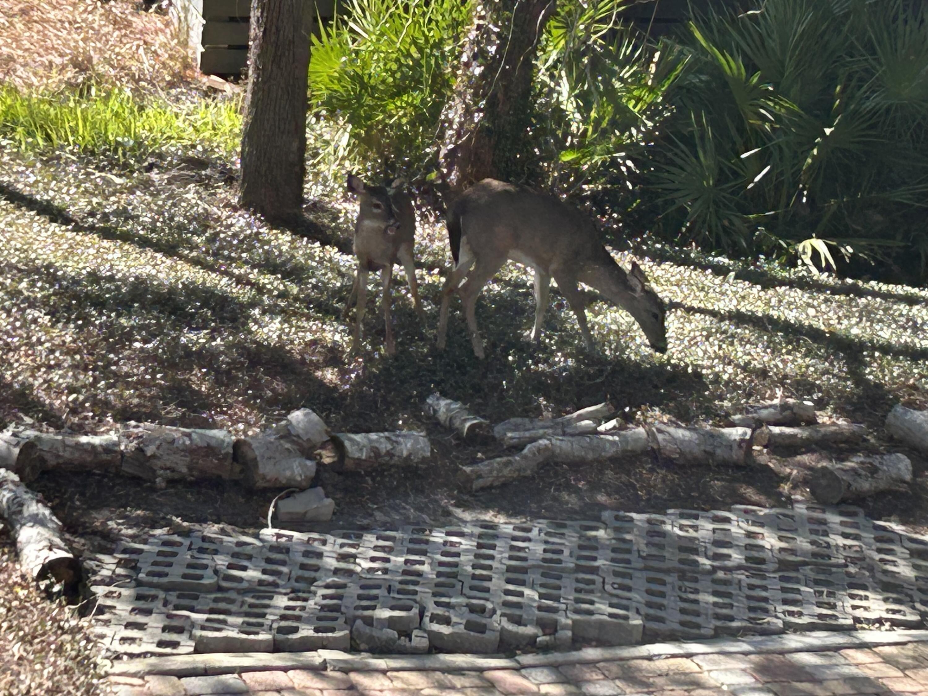 BEACH HIGHLAND 1ST ADD - Residential