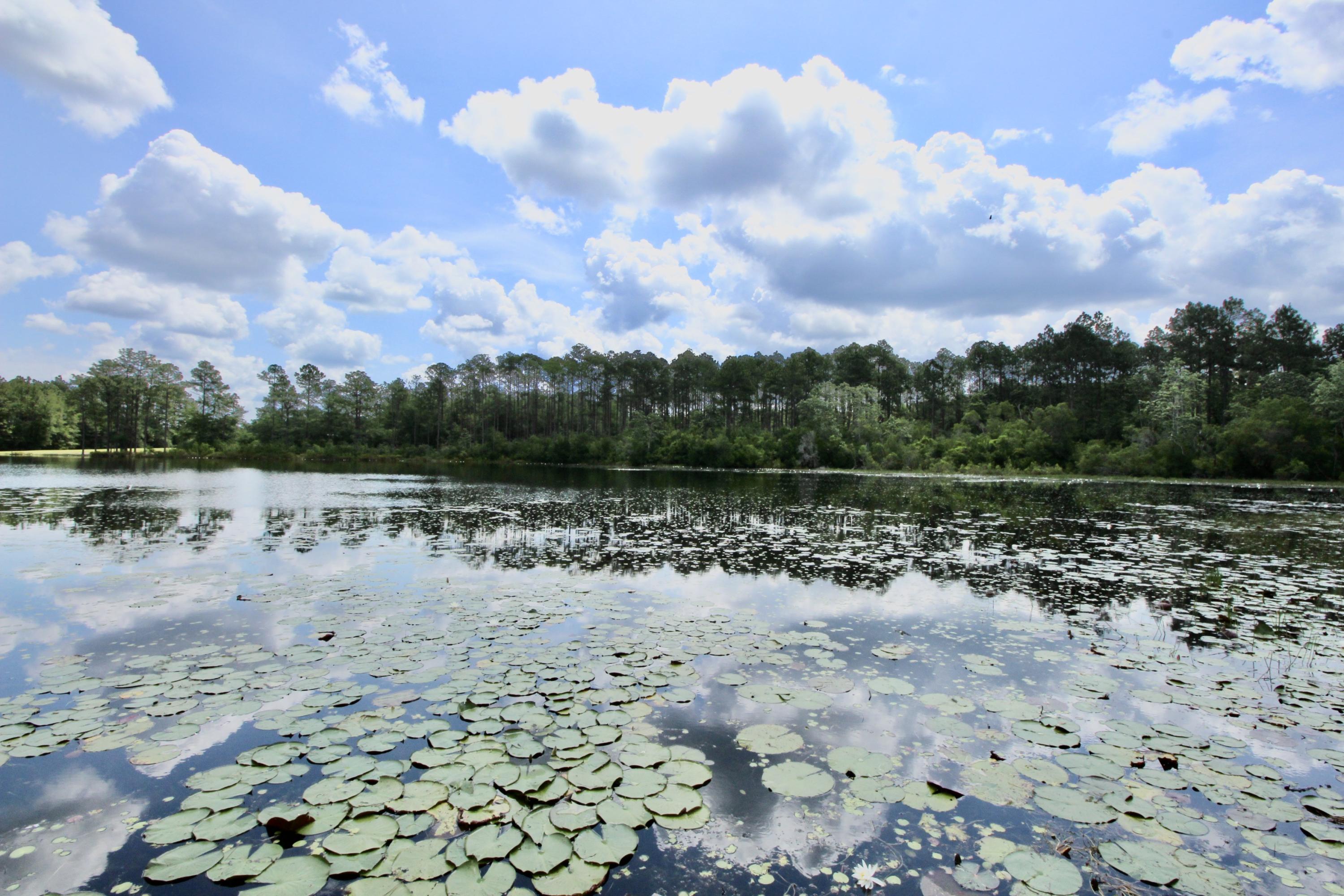 HIDDEN LAKES ESTATES - Residential