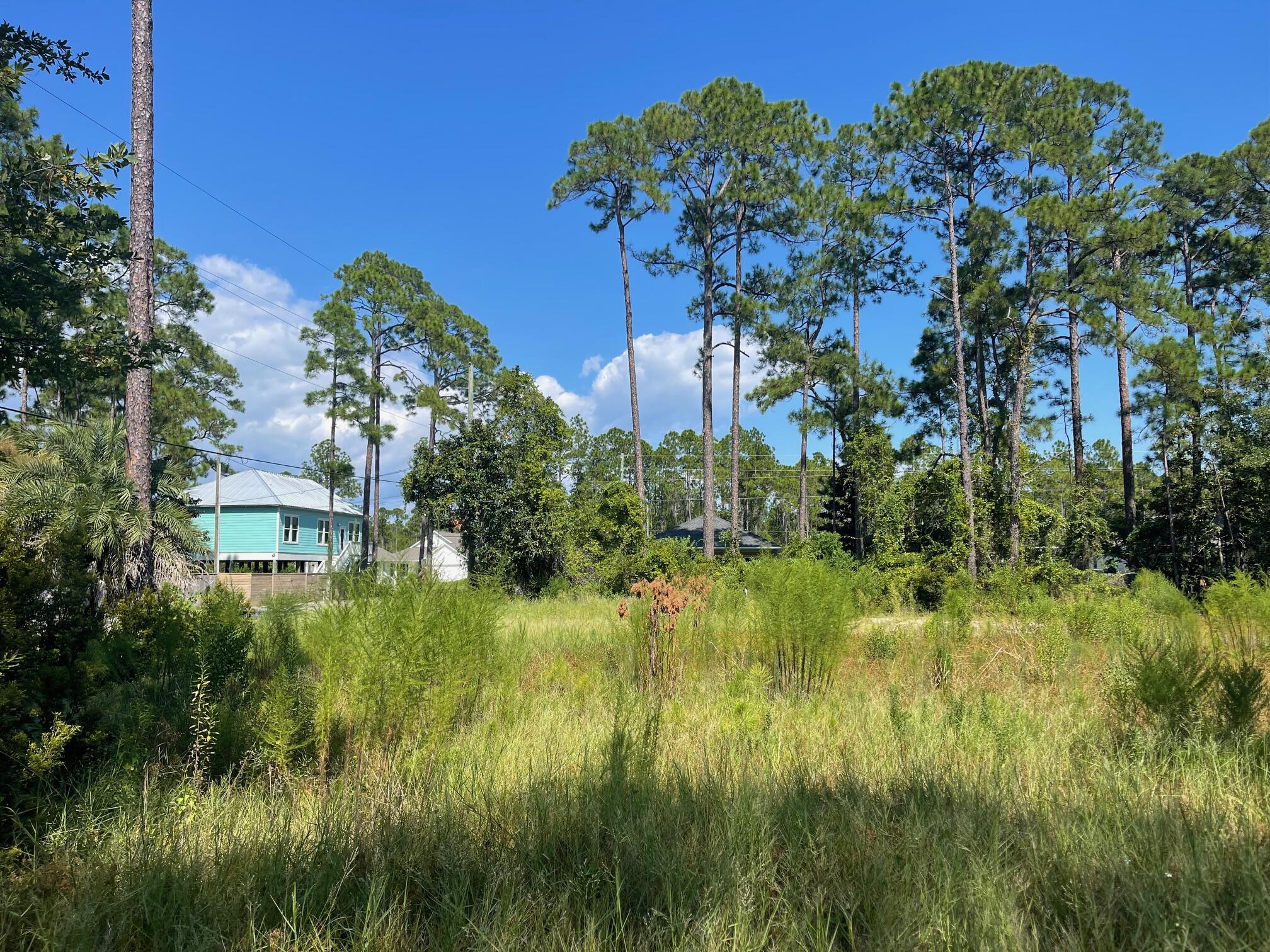 4 lots on 1st Steet. Lots have been cleared and there is 1 water and sewer tap with lot 24 ( the corner lot) House plans available.