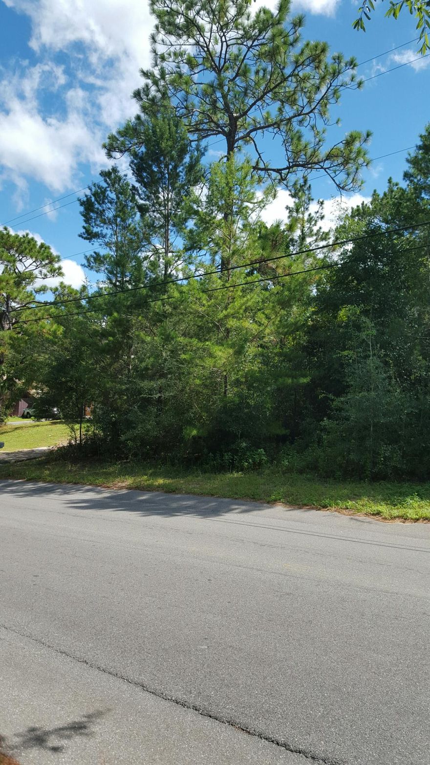Great homesite ! Near town paved road! Bring your house plans!
