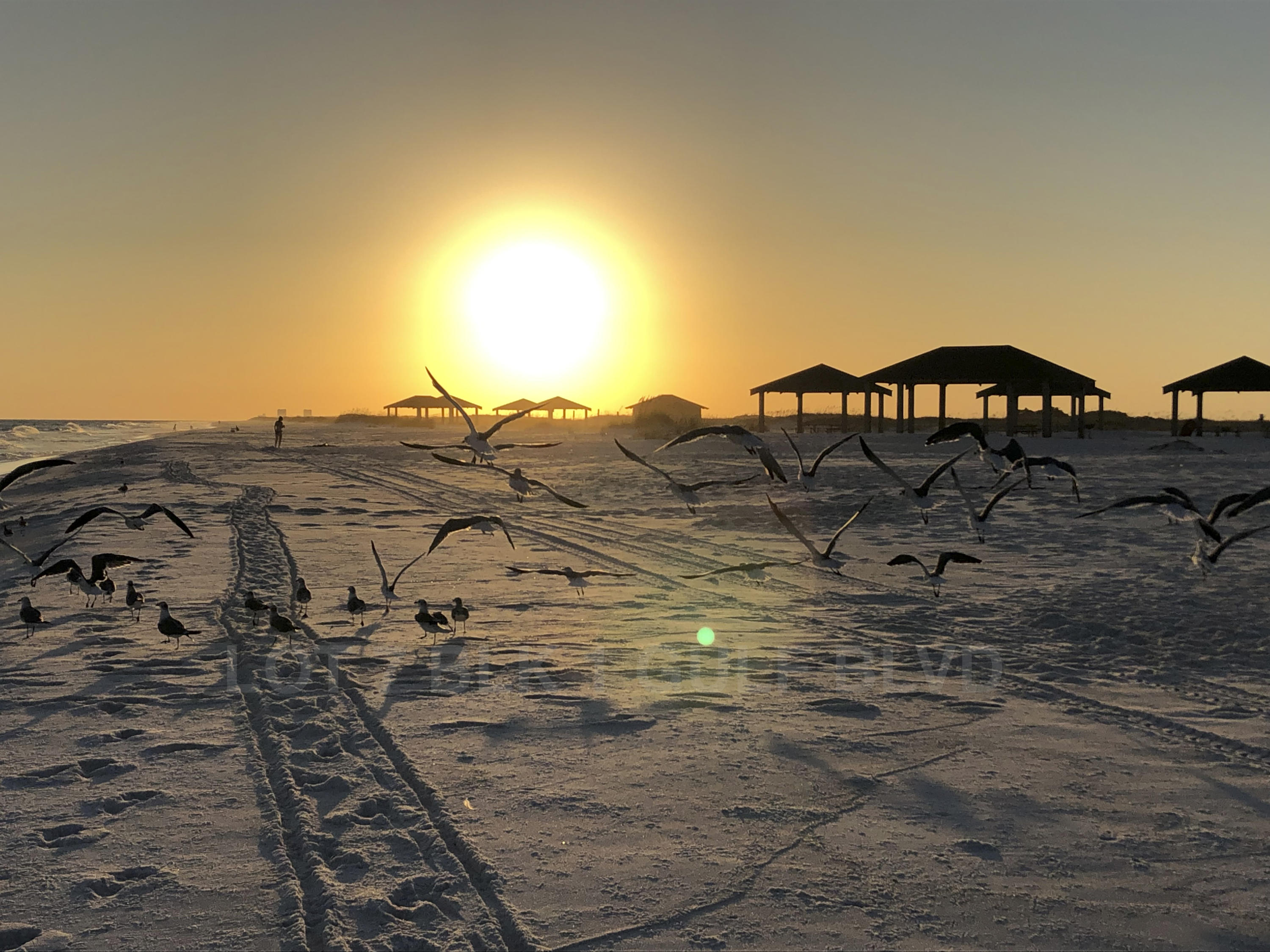 NAVARRE BEACH RESIDENTIAL - Land