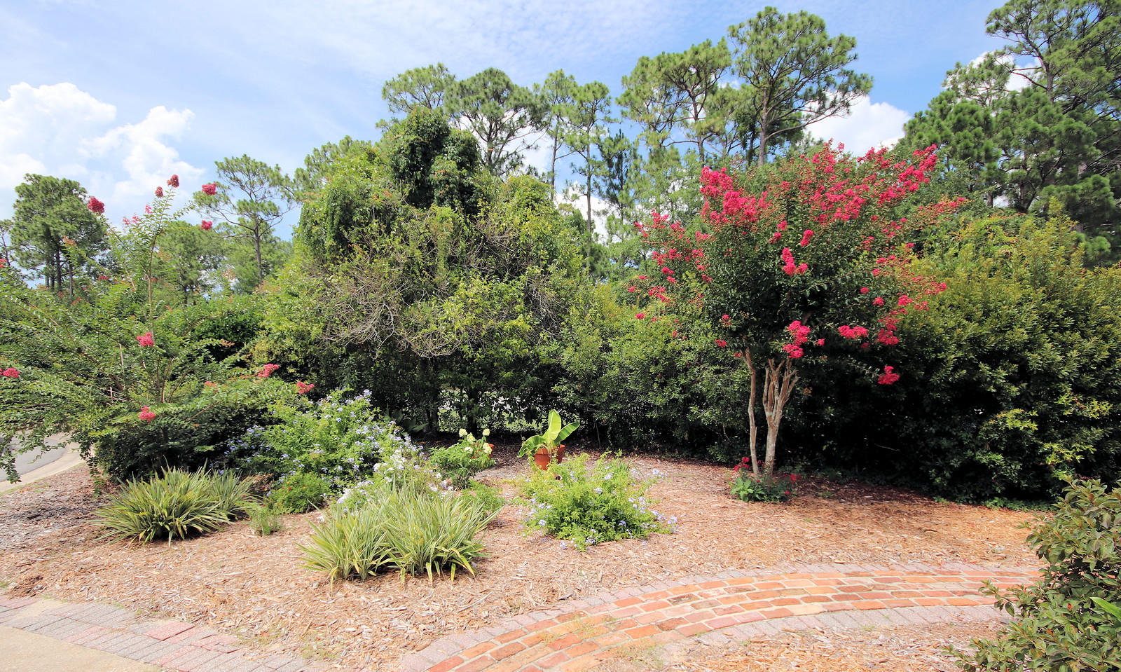 OAKMONT PLACE - Residential