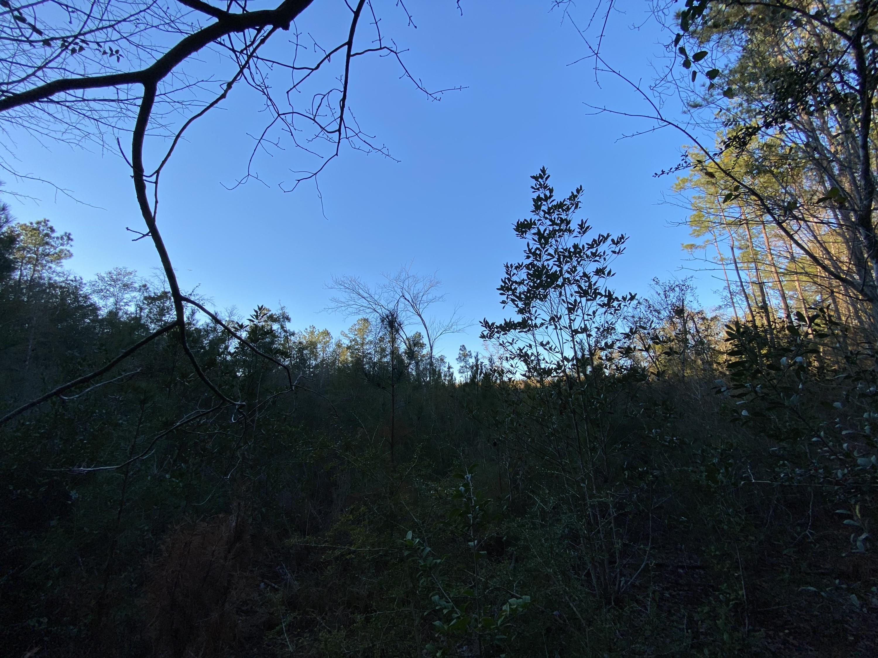 METES & BOUNDS - Farm