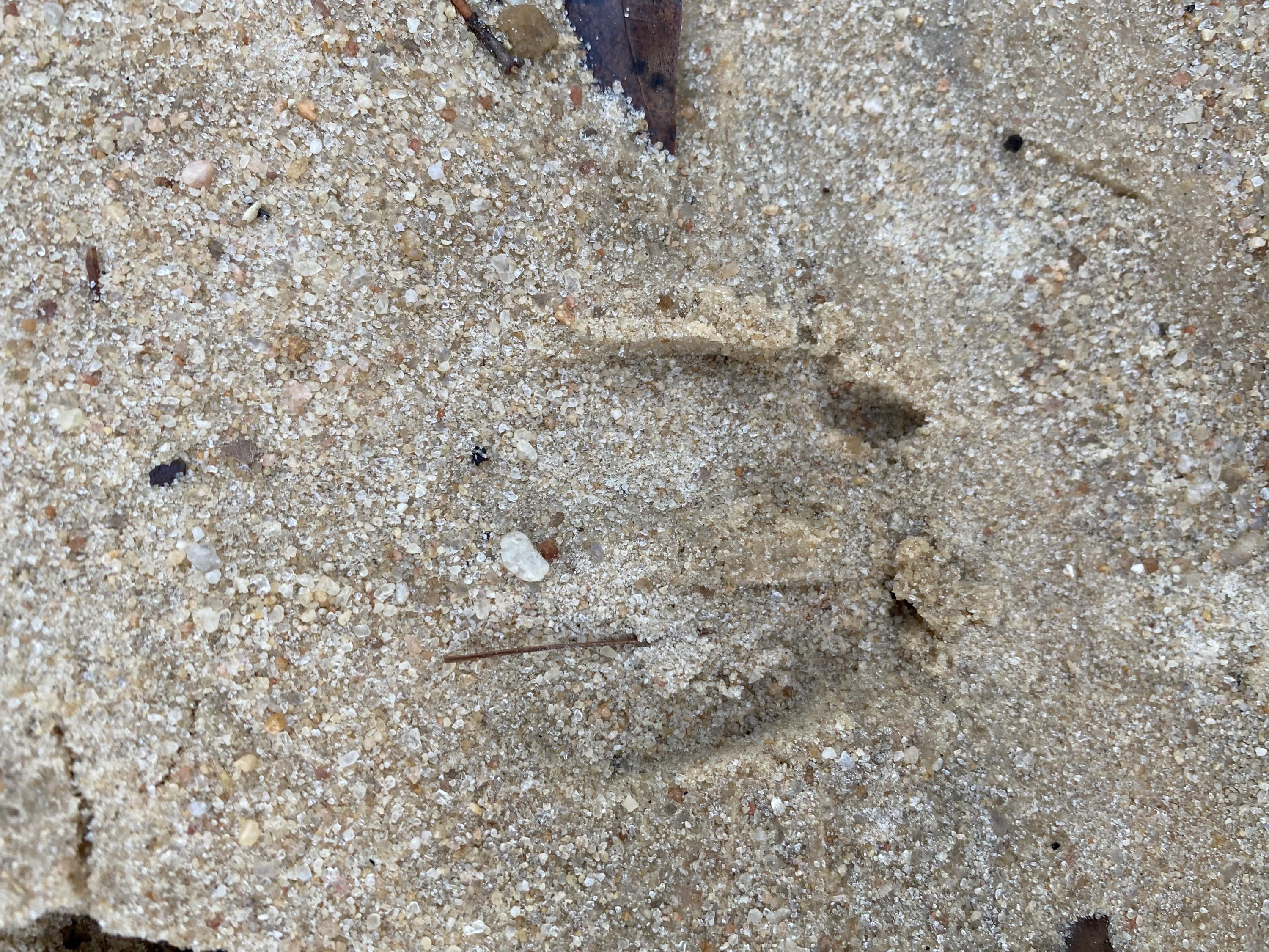 METES & BOUNDS - Farm