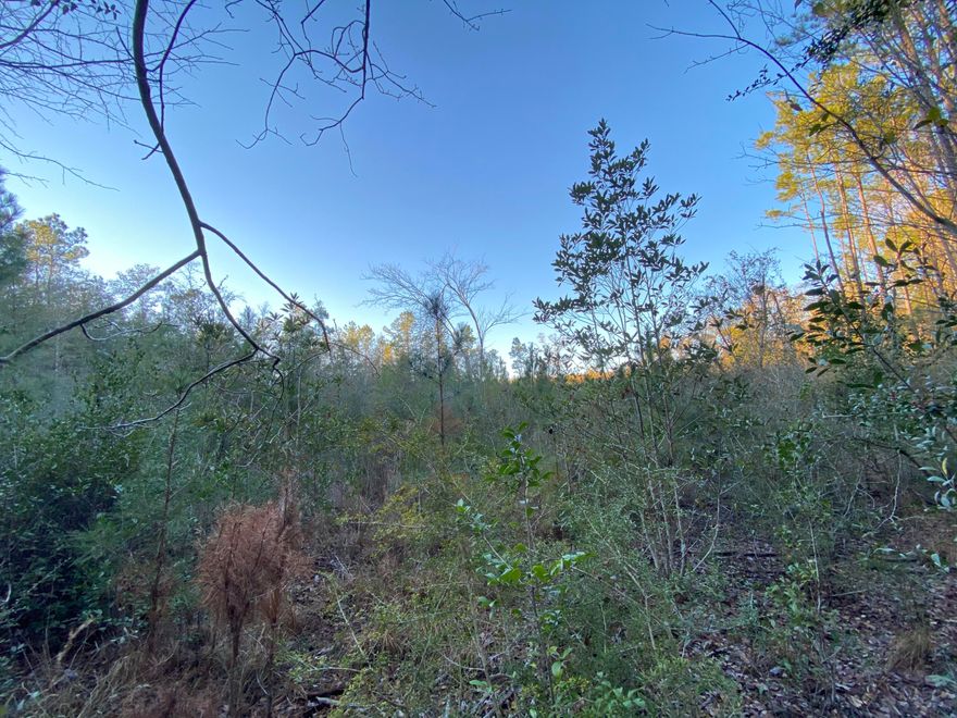 Close to grocery stores, restaurants, & schools. The parcel has a country feeling while being close to the city. This lot has fantastic potential!