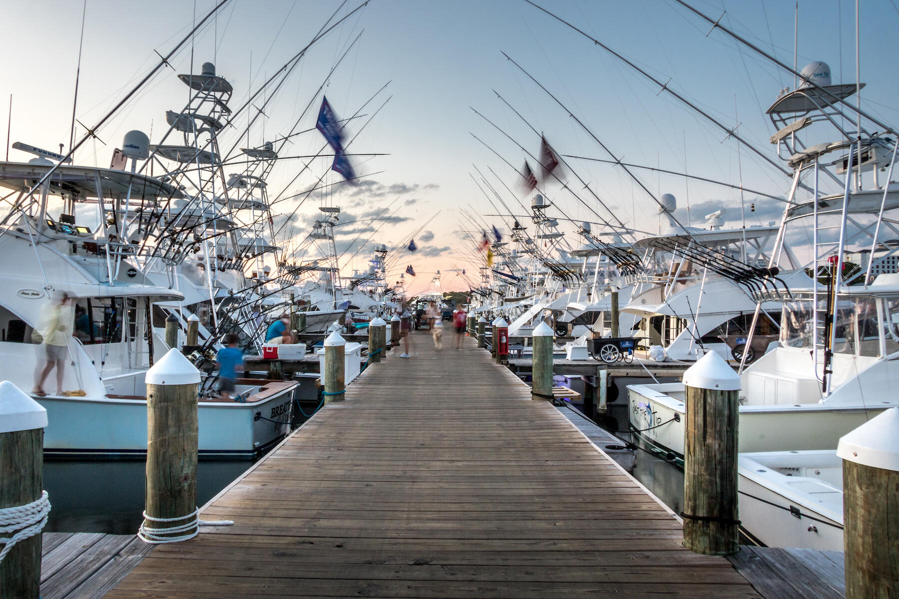 LAUREL GROVE - Residential