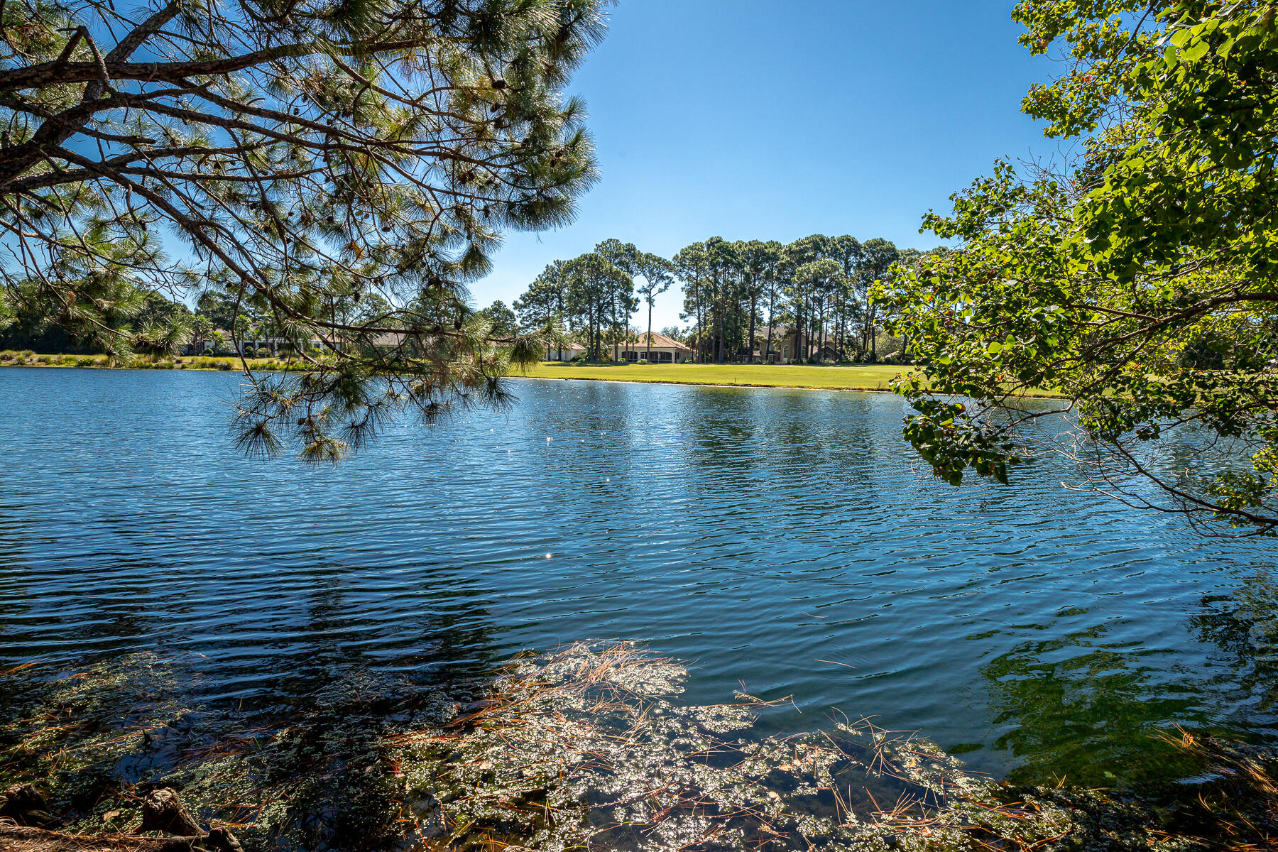 LAUREL GROVE - Residential