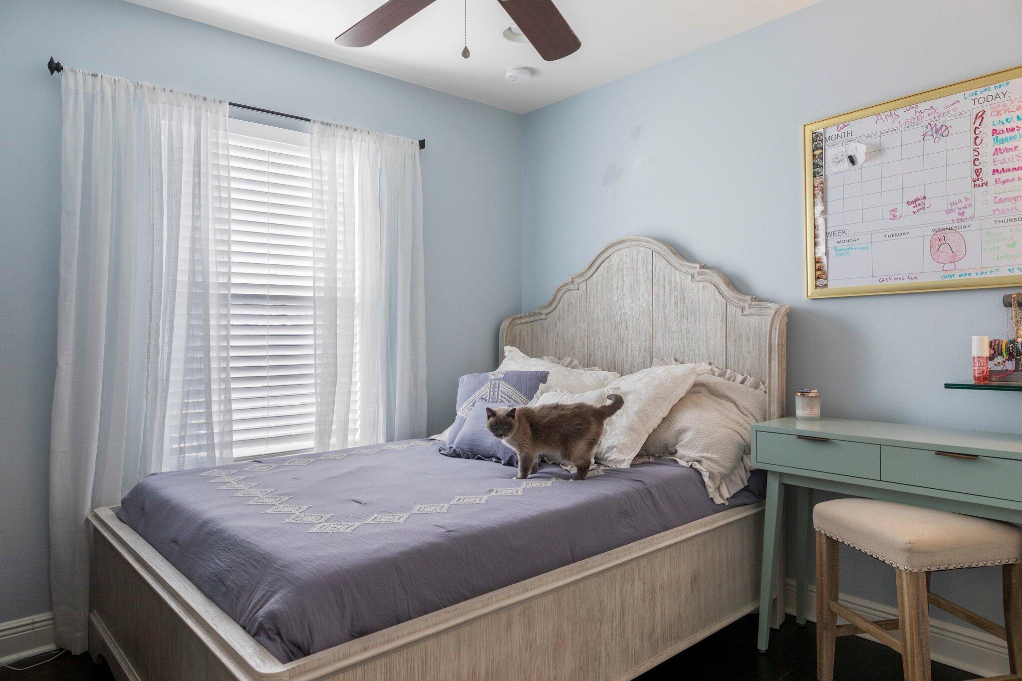 Bayshore Pines - Residential