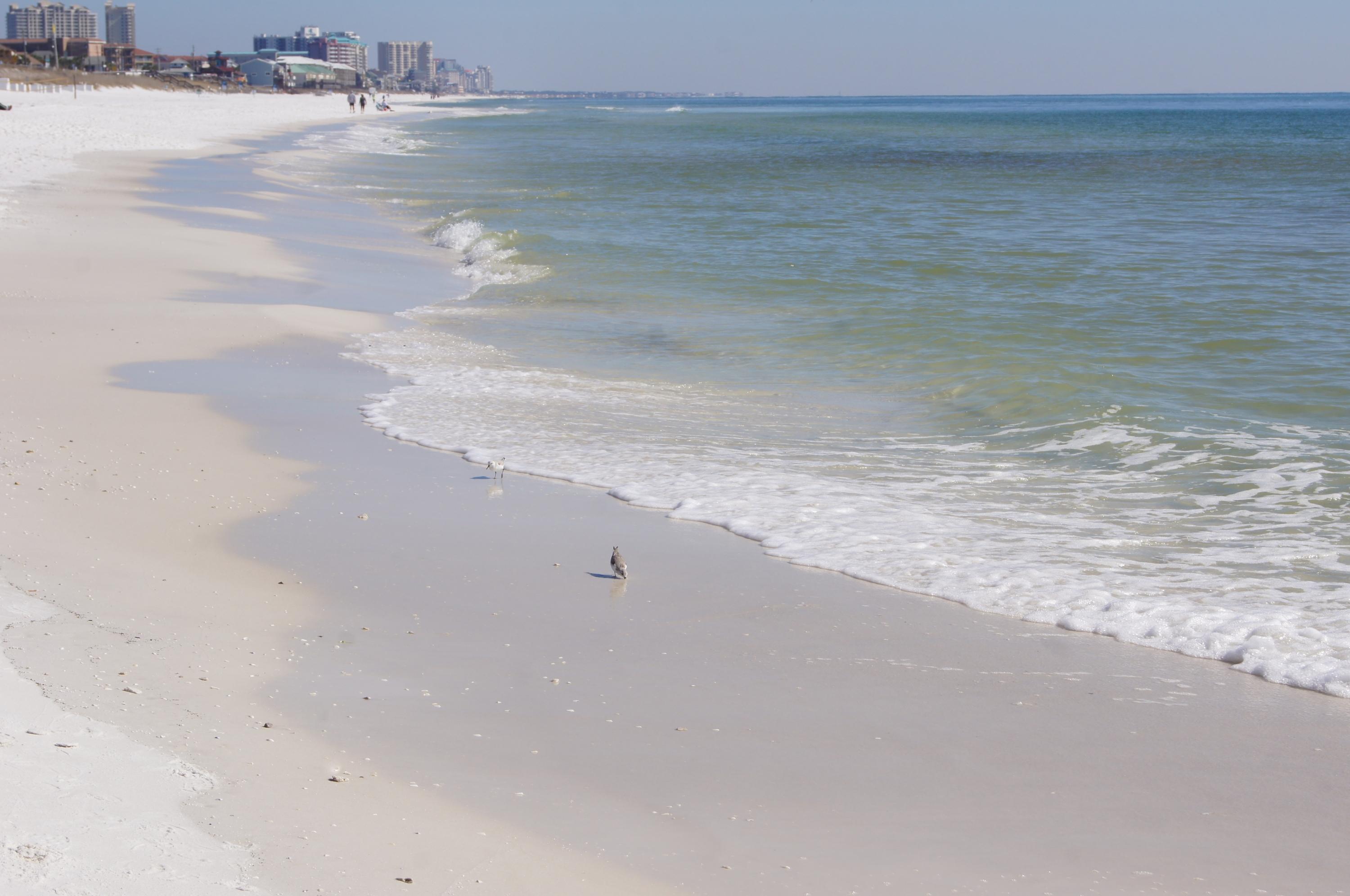 LEEWARD KEY - Residential