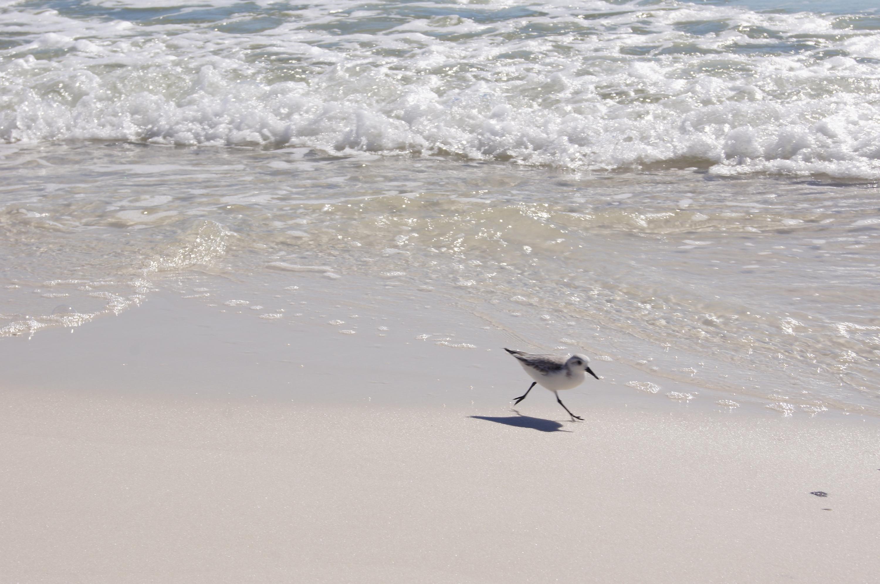 LEEWARD KEY - Residential