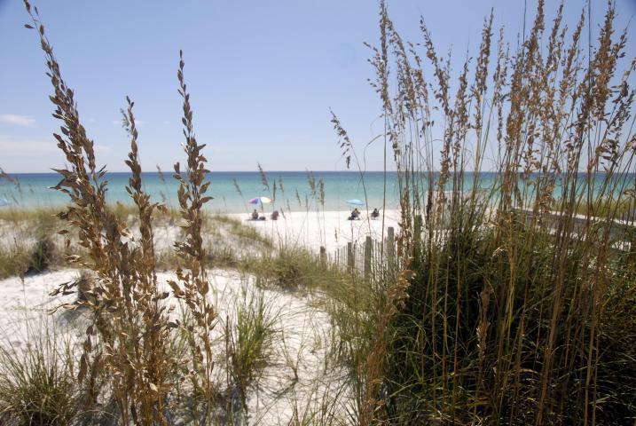 SANCTUARY AT REDFISH - Residential