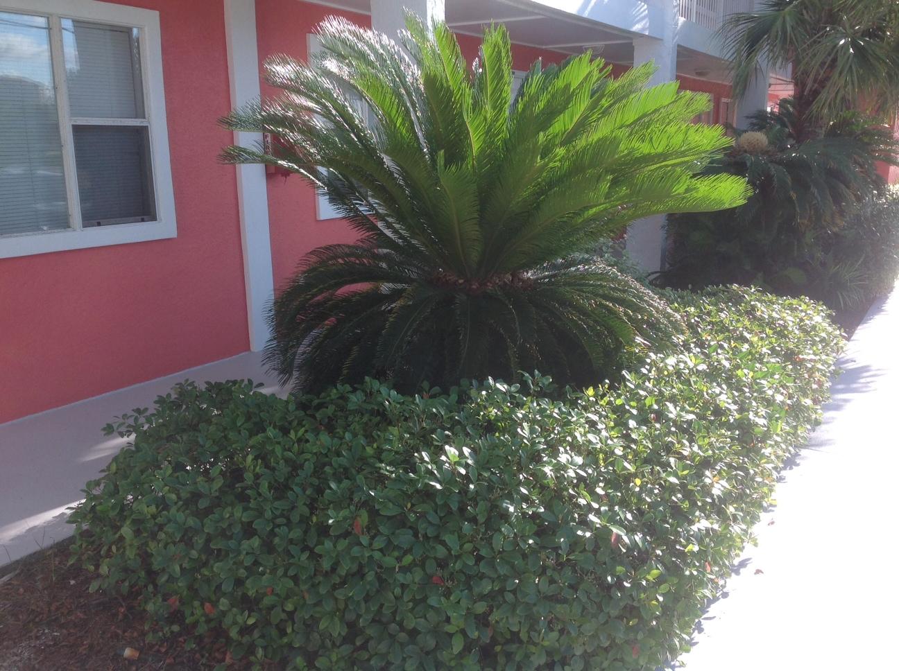 TROPICAL ISLE CONDO - Residential