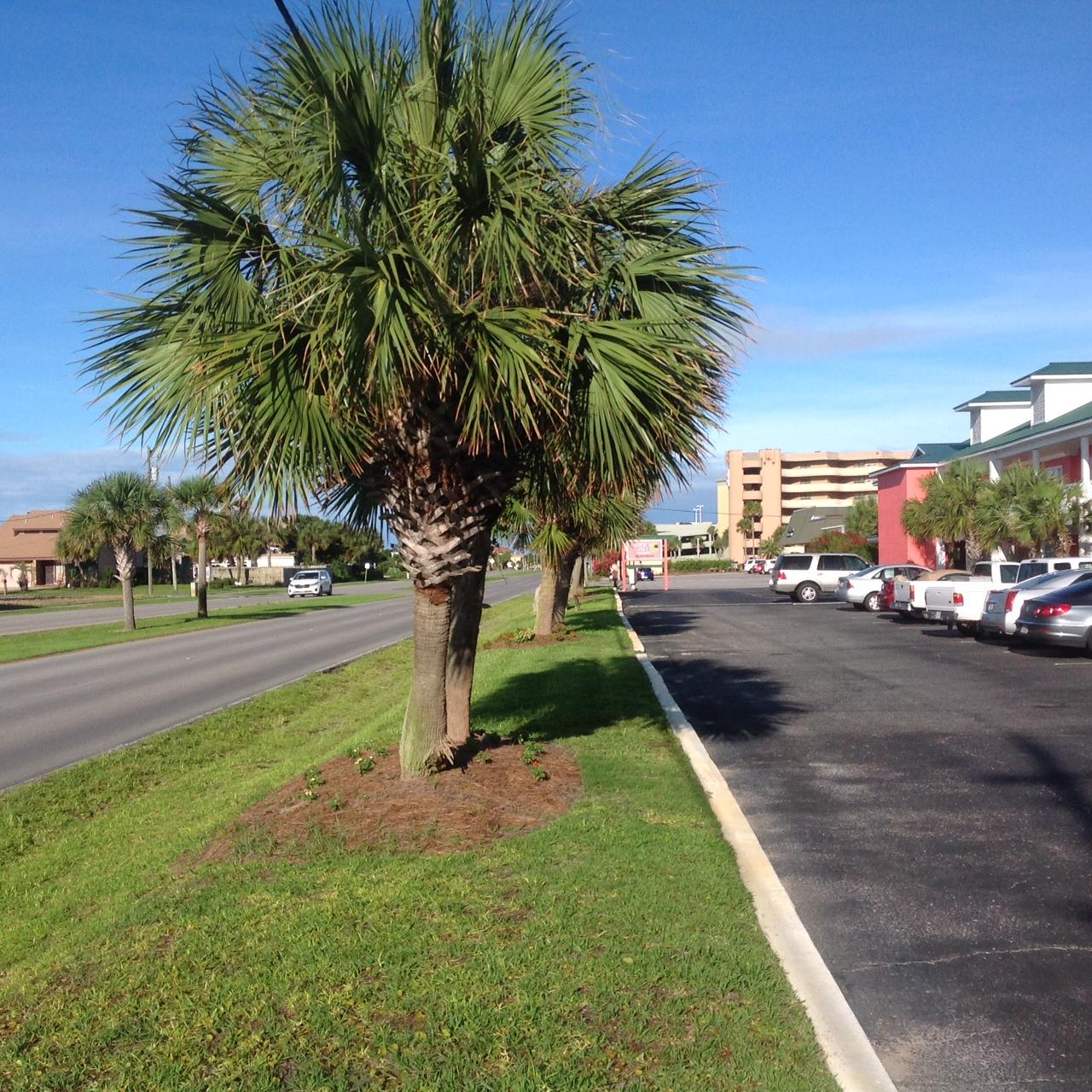 TROPICAL ISLE CONDO - Residential