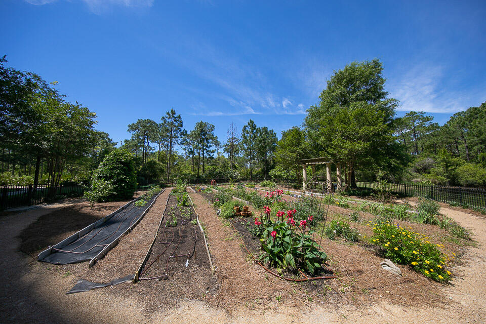 ONE WATER PLACE AT KELLY PLANTATION - Residential